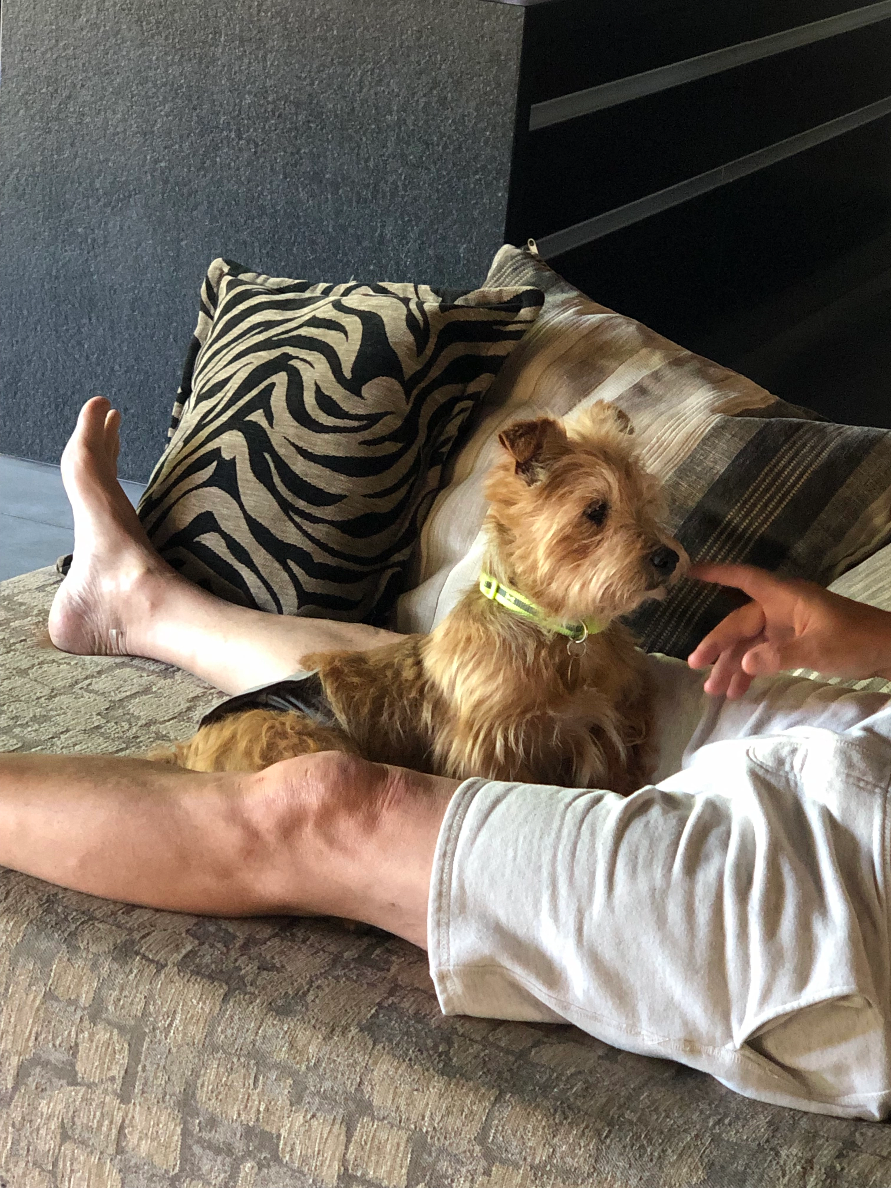 Loulou - Route de la Serrée, Nuits-Saint-Georges