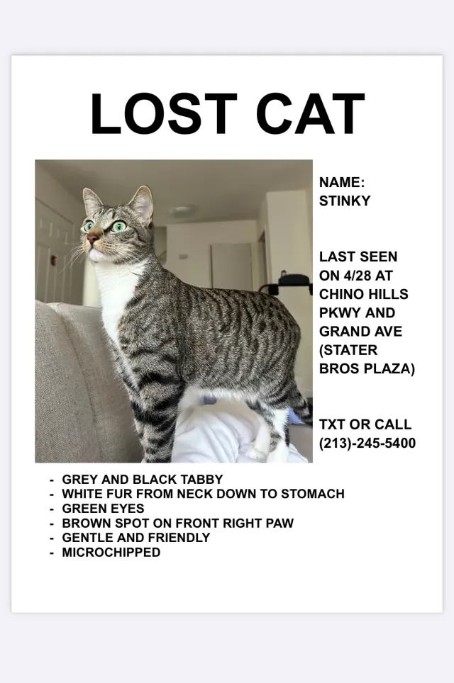 Stinky - Chino Hills Parkway, Chino Hills