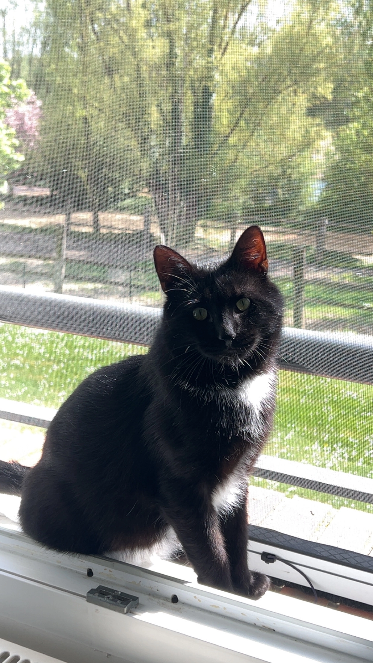 Vador  - 17 Rue de la Prairie, Saint-Paul