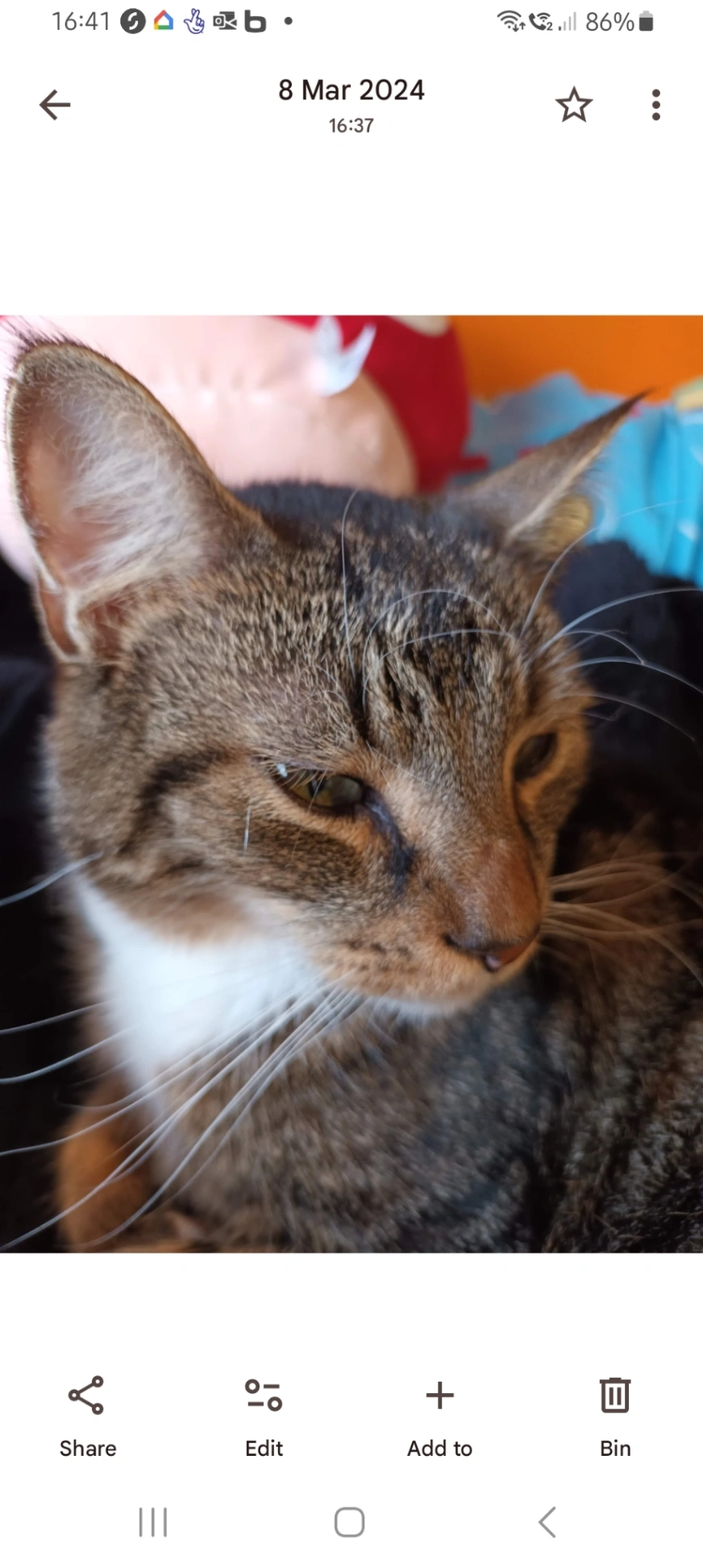 Keith - Gordon Road, Shoreham-by-Sea