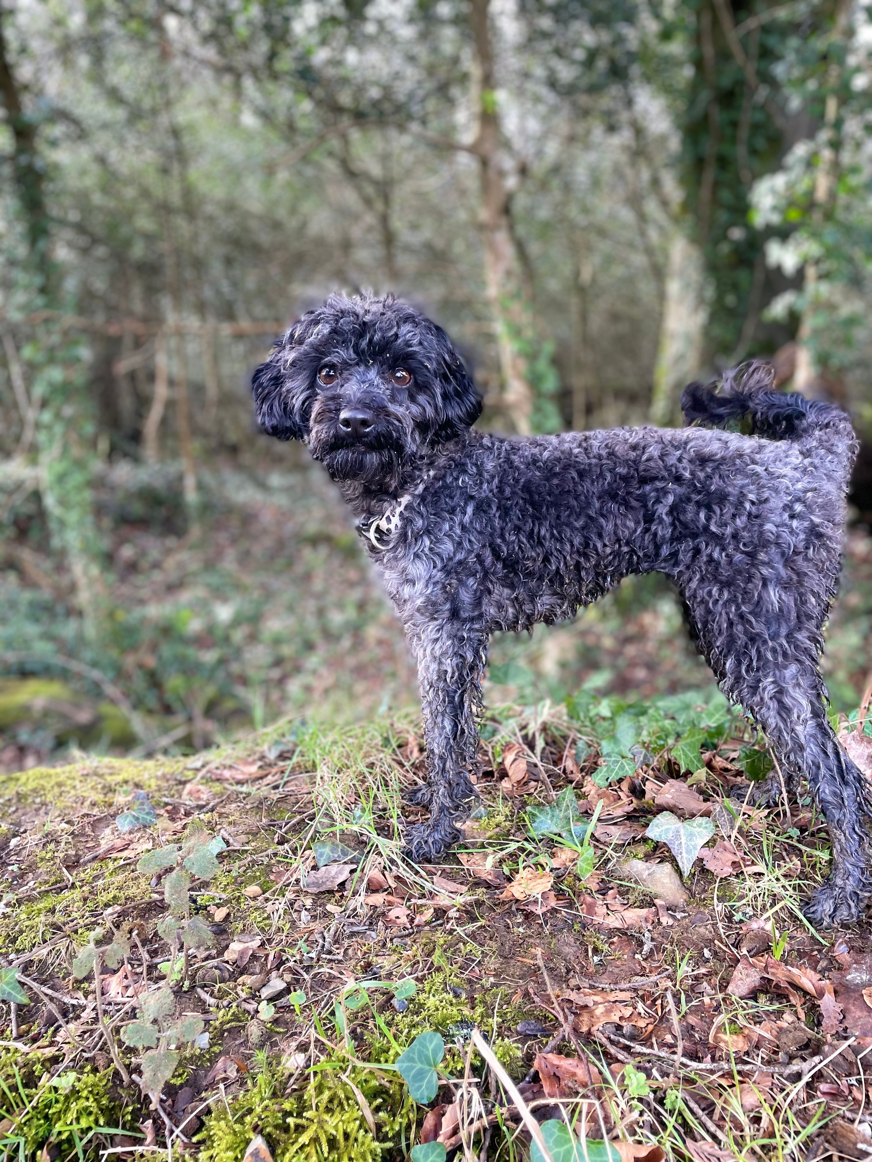 Nelly - Par Moor Road, Par