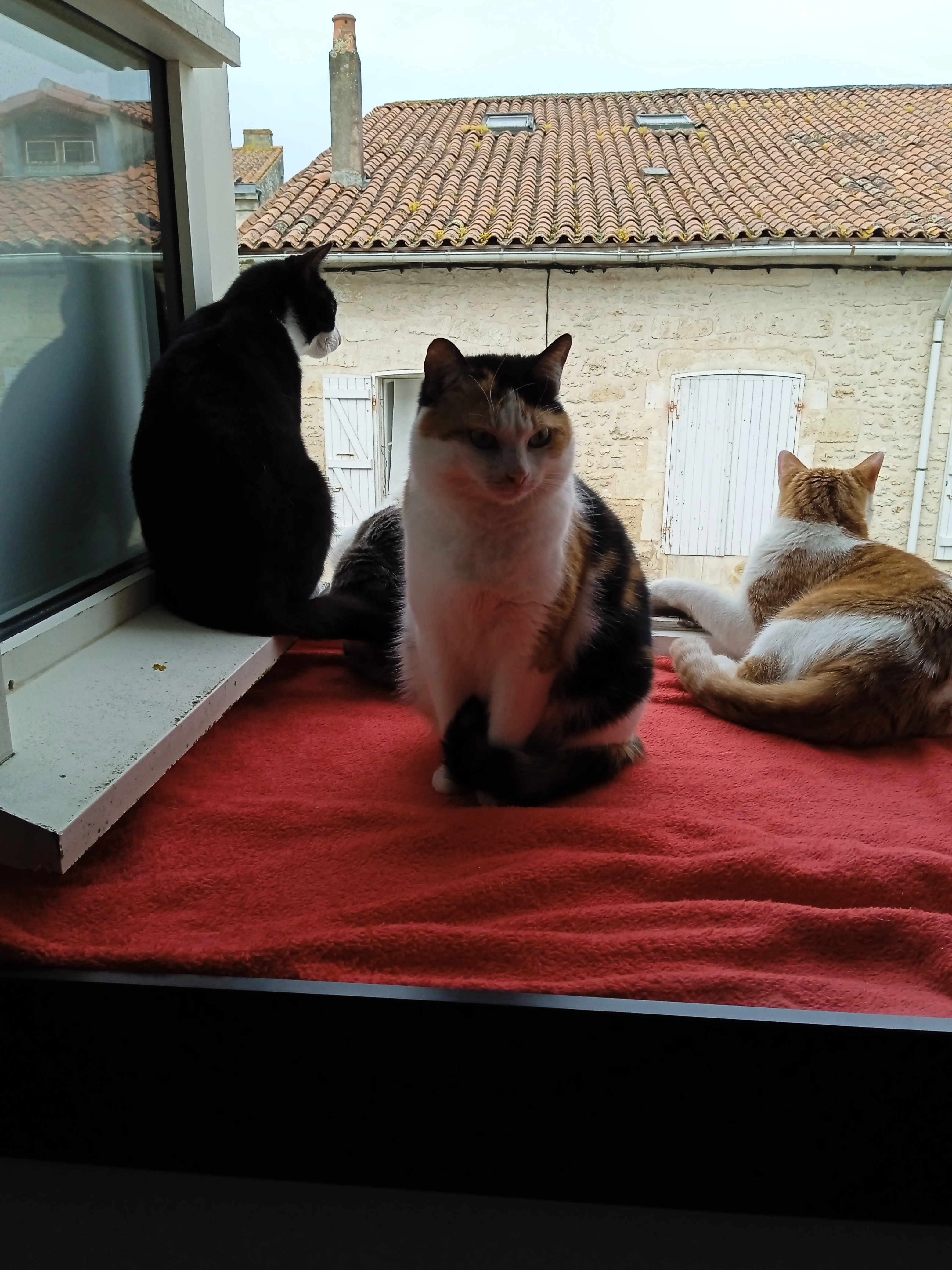 Queeny - Rue Bazeille, Rochefort