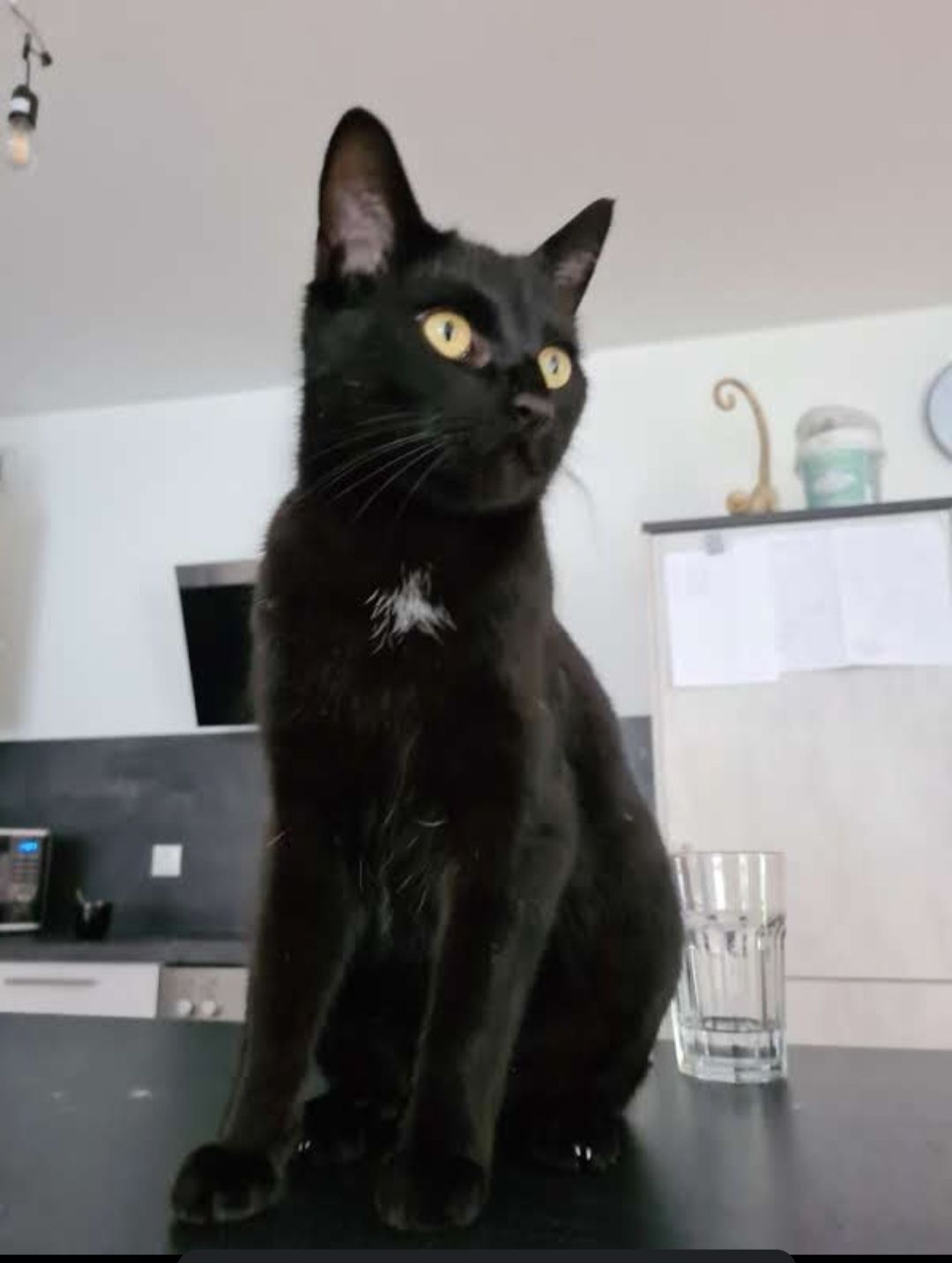 PUMA - Schillerstraße, Teublitz