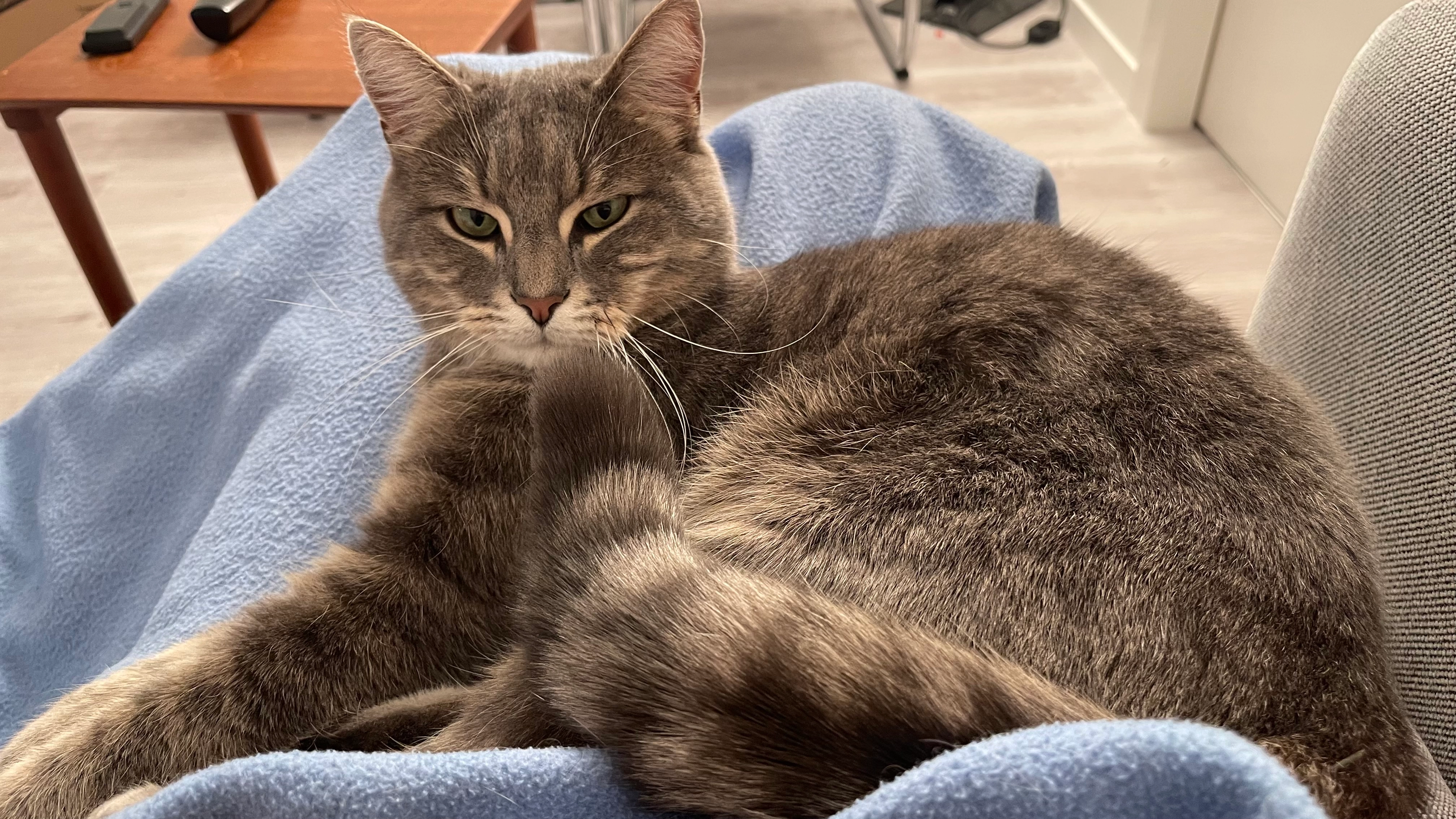 Plume - Rue des Horlogers 15, Carouge