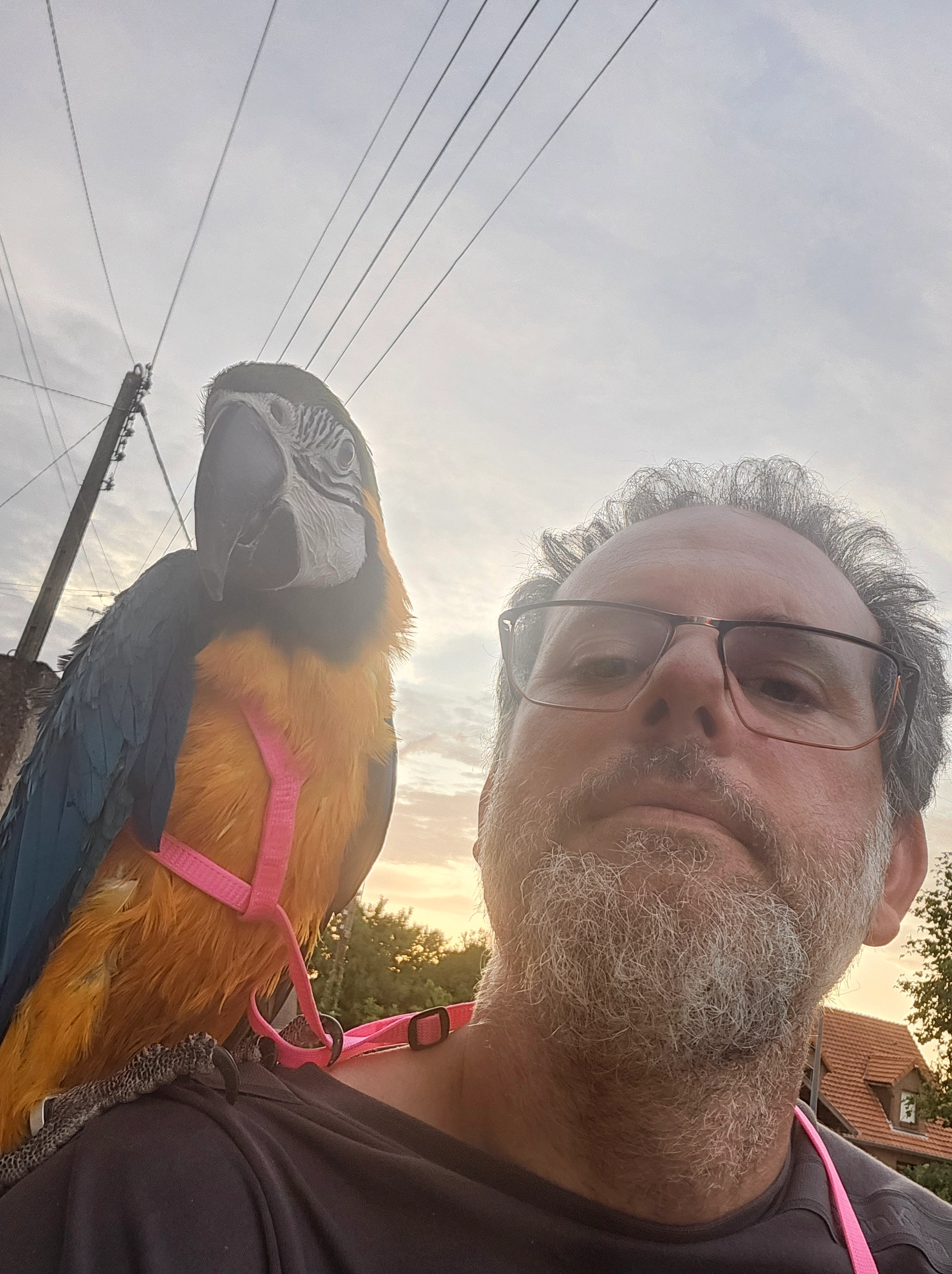 LOLA - 14 Rue René Lantoine, Aix-Noulette