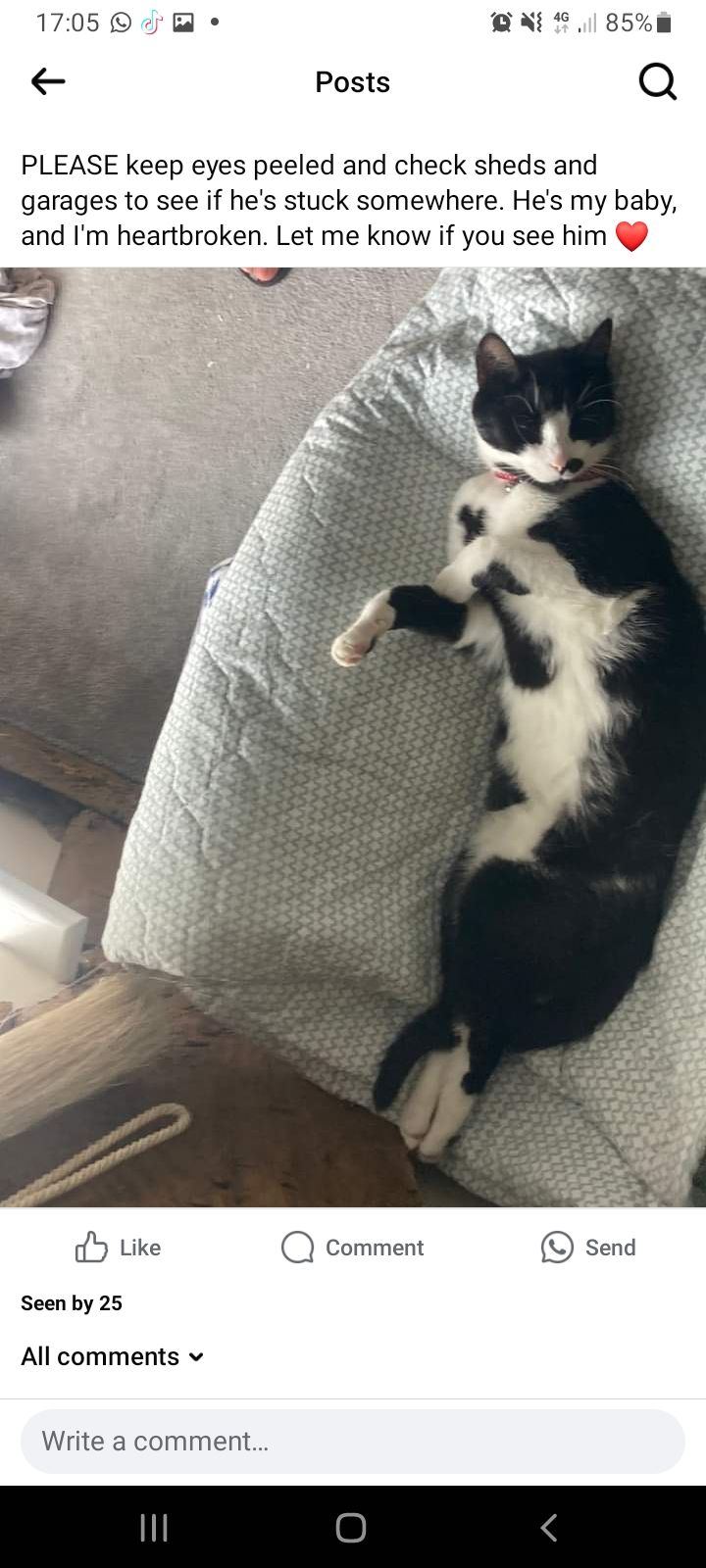 Goose - The Street, Ashford