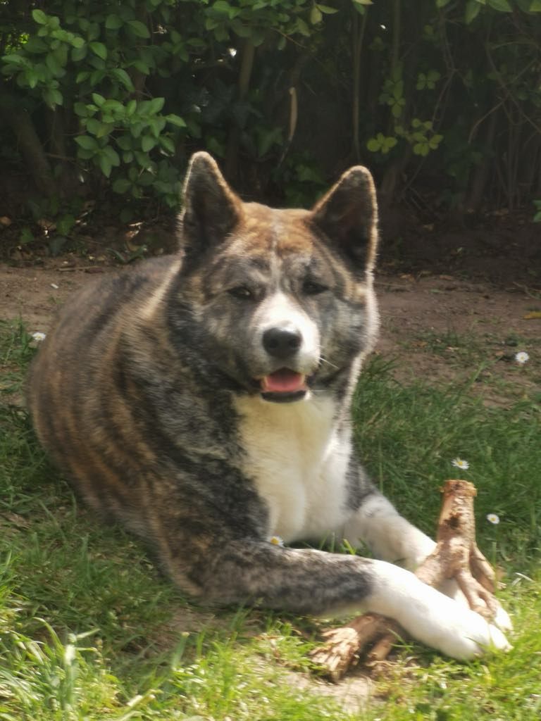 Naïa  - Avenue du Domaine de la Vallée, Bousbecque