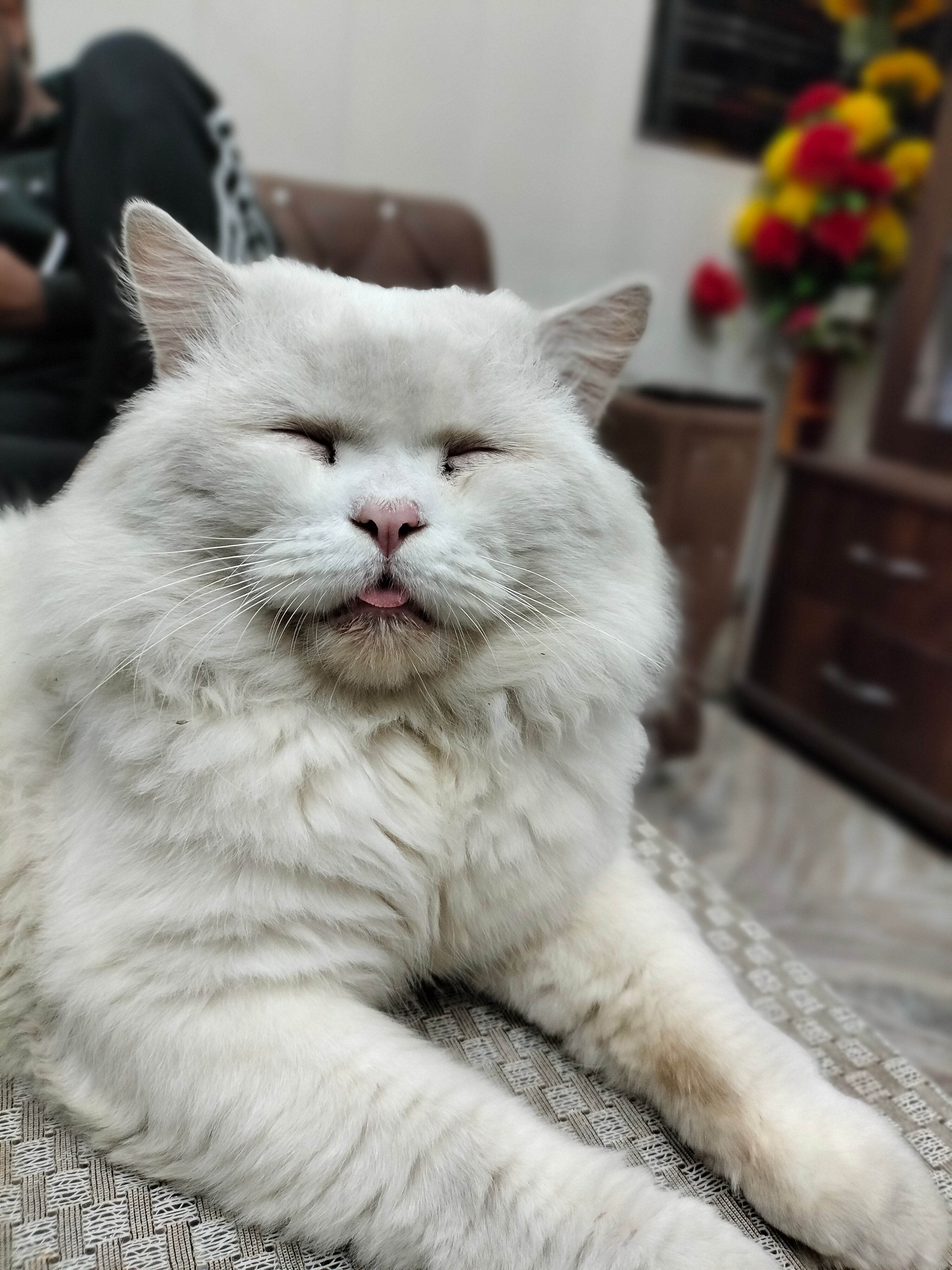 Sheru - Kakowal Road, Ludhiana