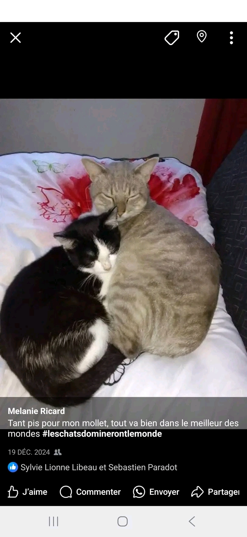 Vroum - 29 Rue Jean Jaurès, Pau