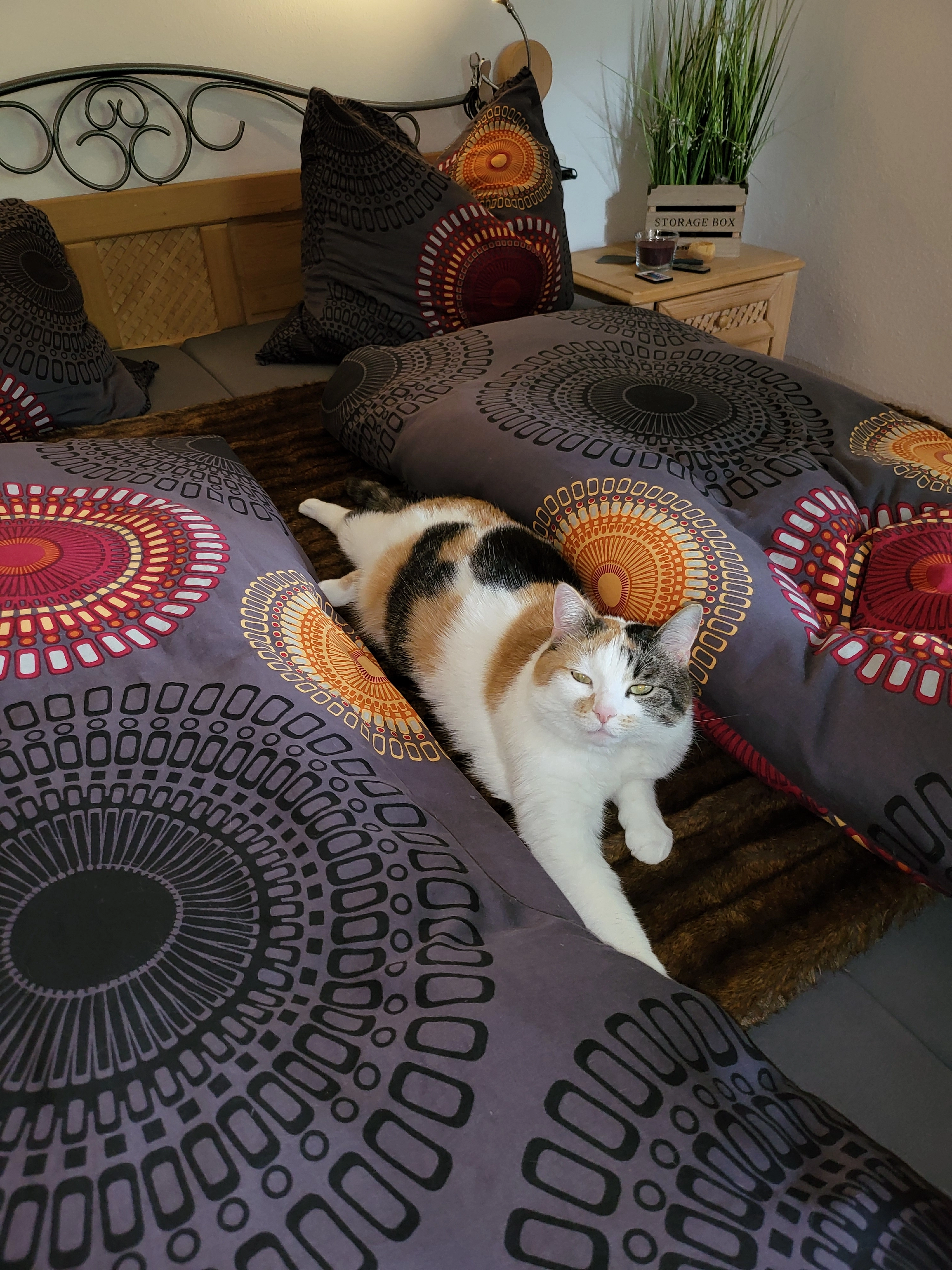 Luna - Sonnental 10, Kitzbühel