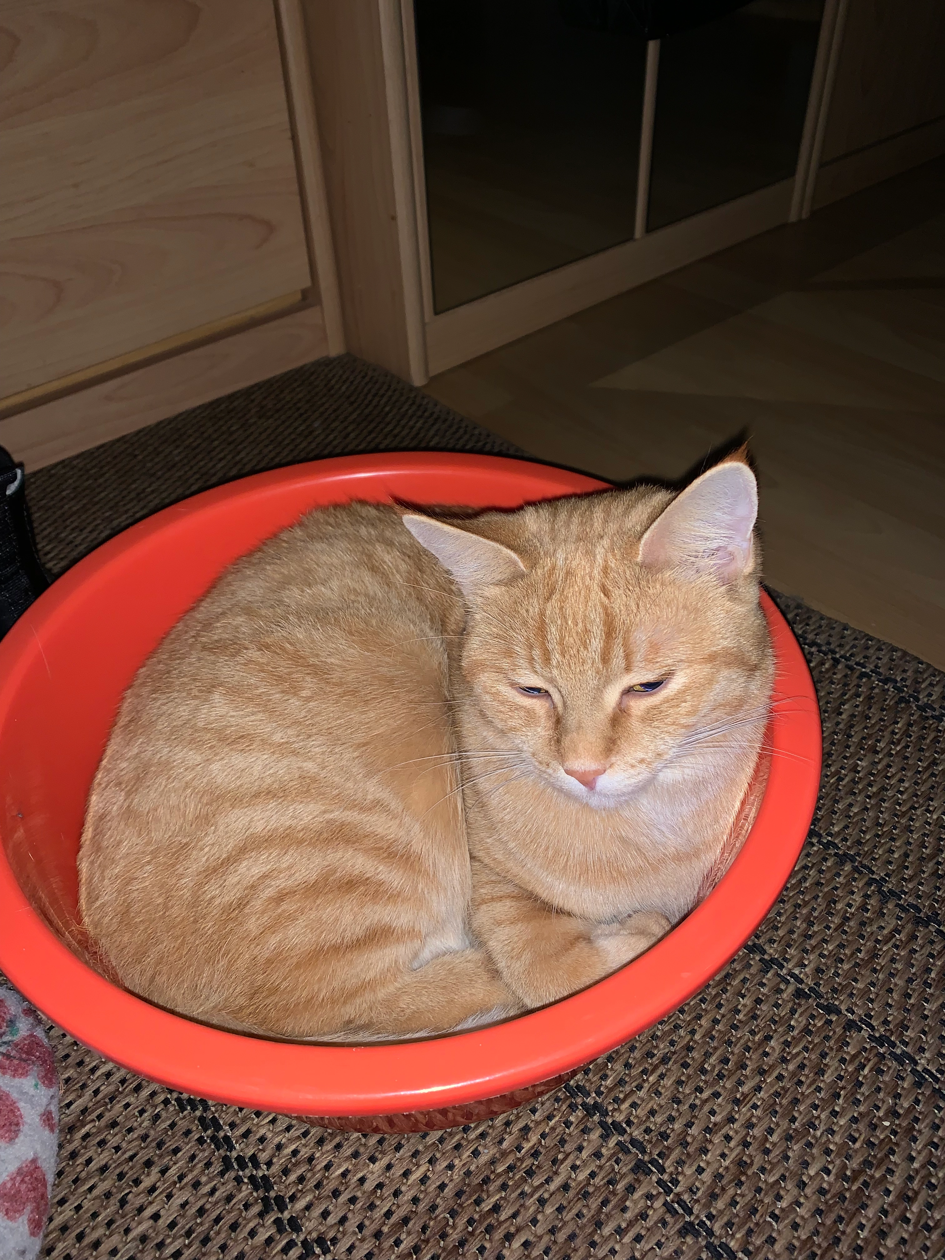 Sima - Rosenschwaigstraße, Ingolstadt