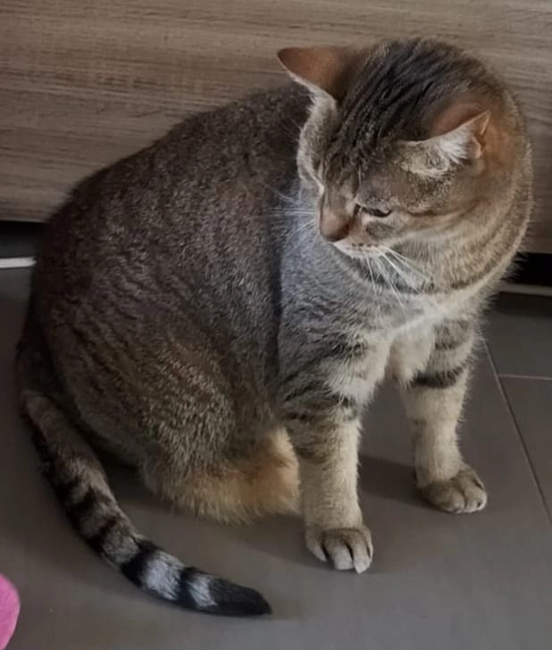 Niocky - Rue De Chars, Marines