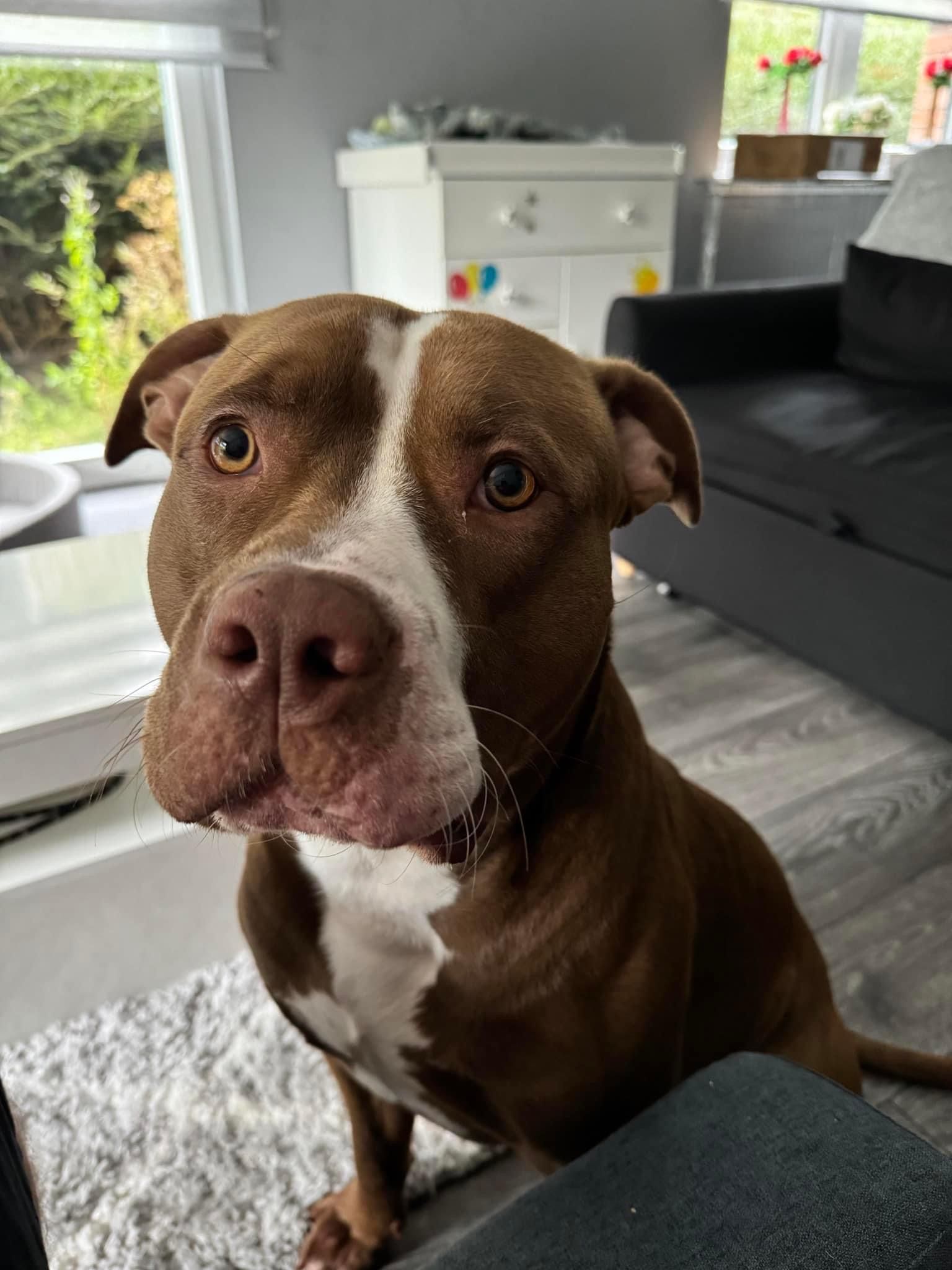 Paco - Cleghorn Road, Edinburgh