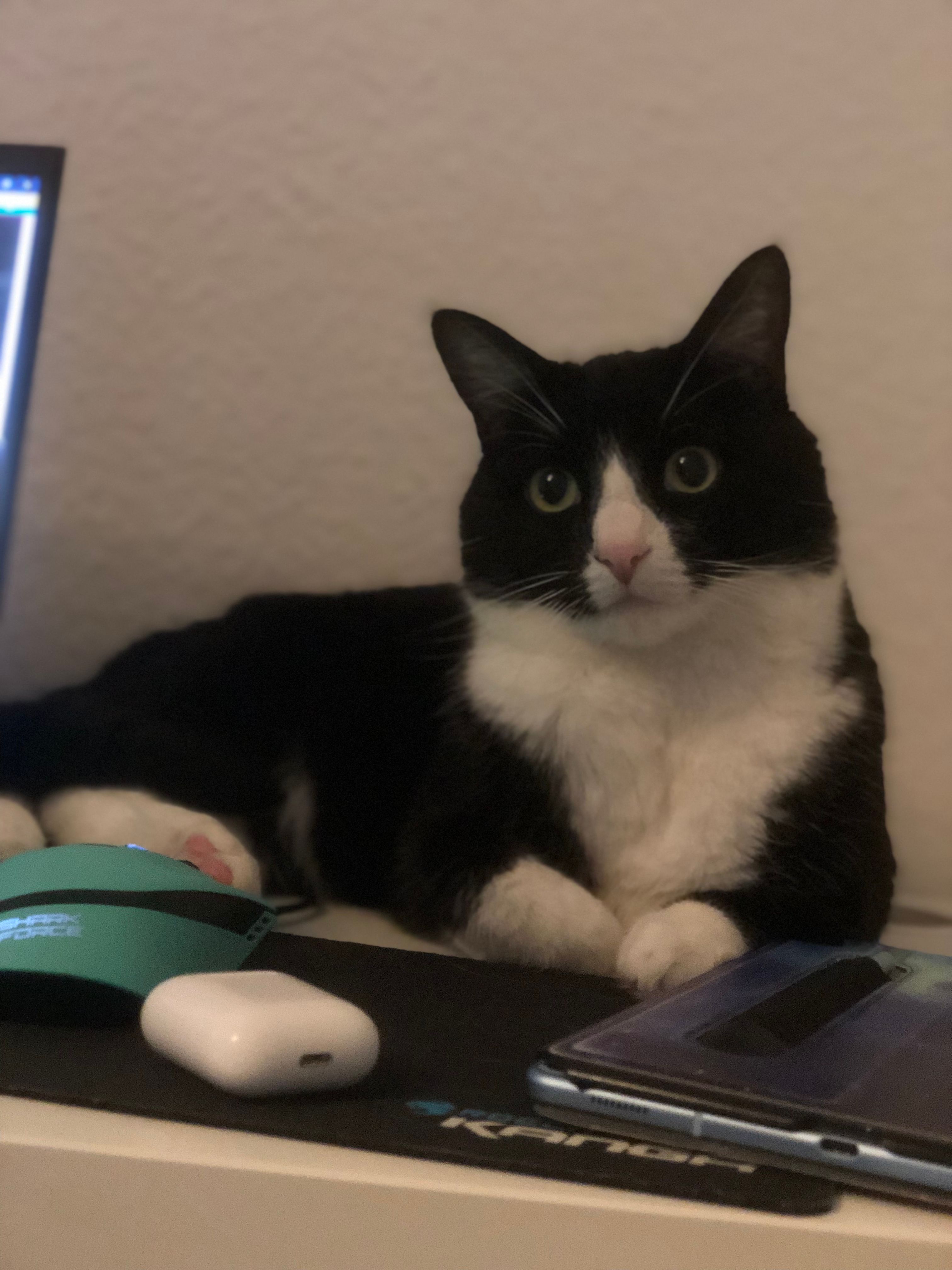 Grufti  - Südstraße 84, Zittau