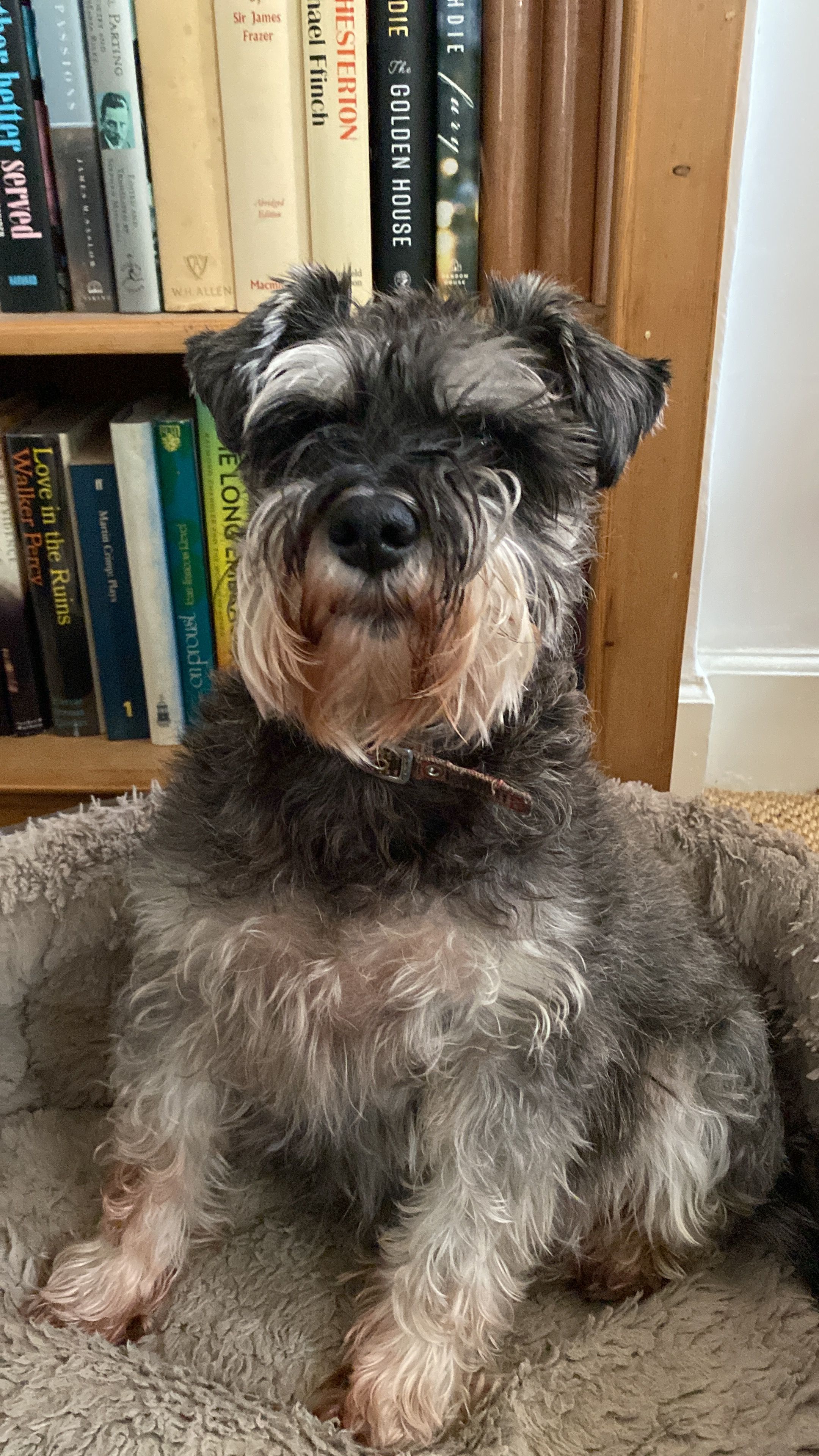 Gatsby  - Church Walk, Worthing