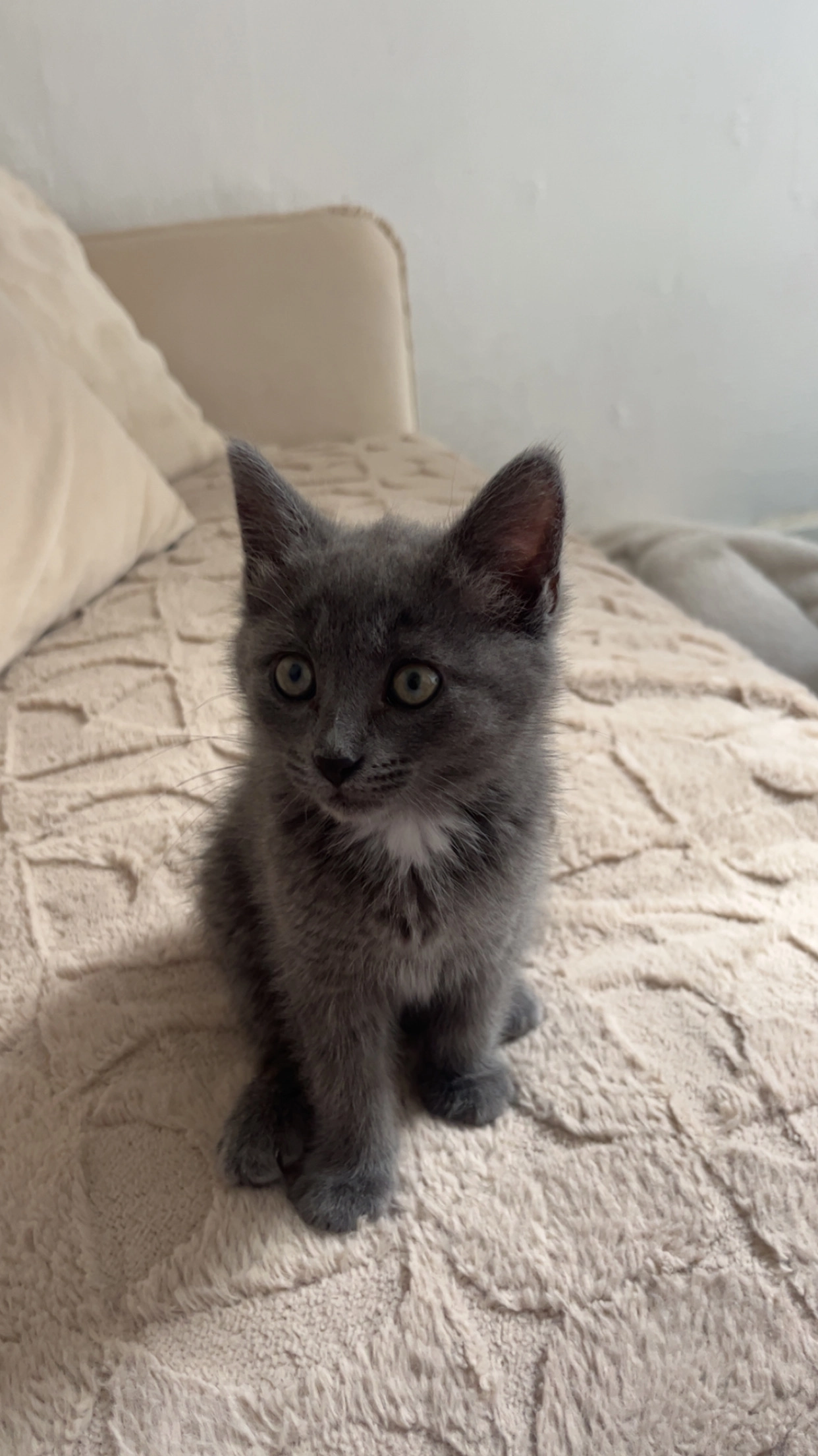 Maka - 150 Rue des Terreaux, Gex