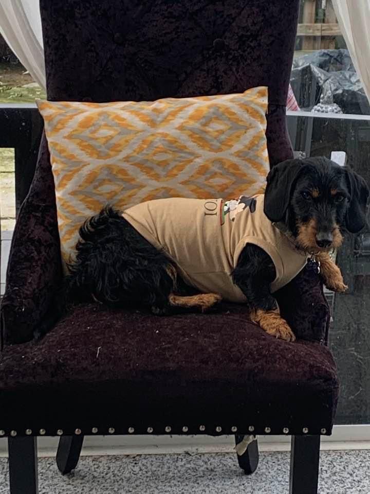 Kira - Barnstock, Peterborough