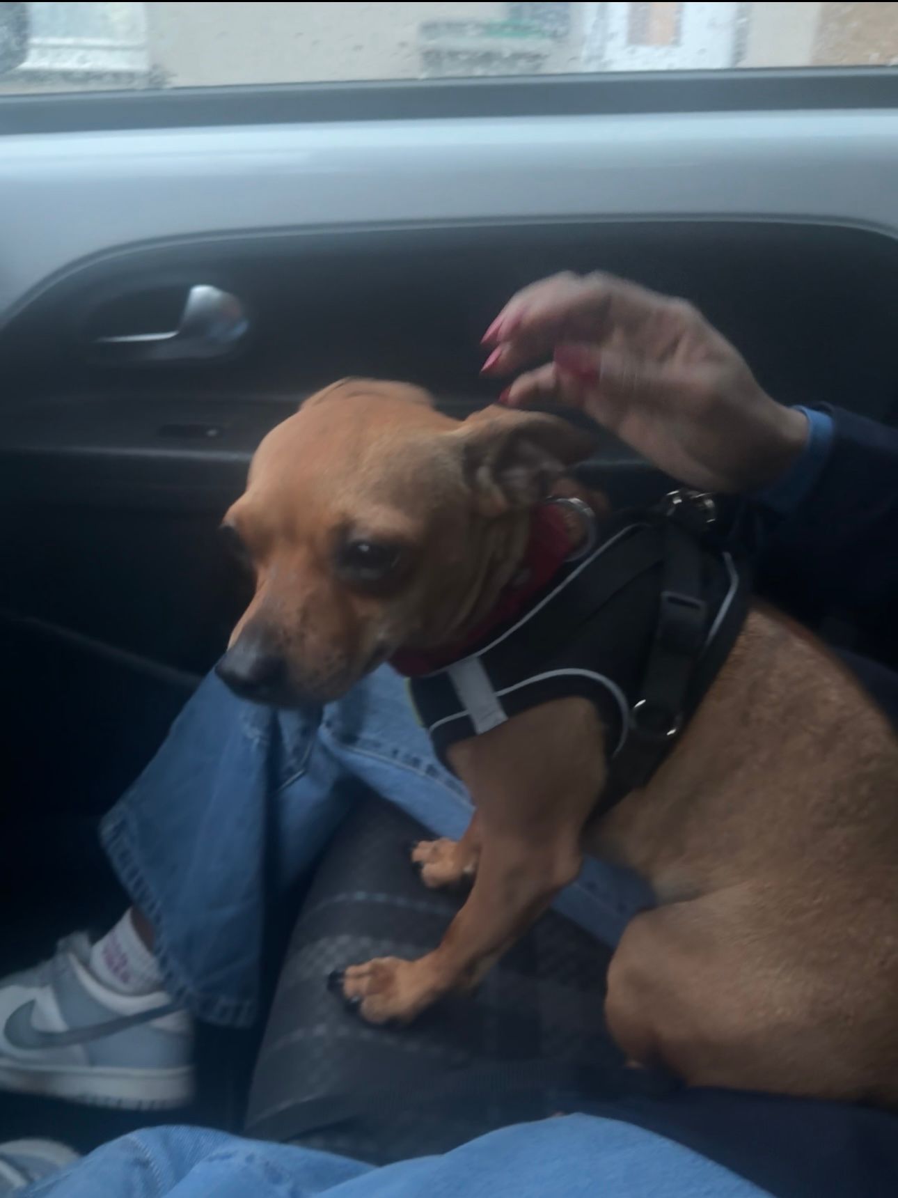 Nero  - Rue des Vignes, Liège