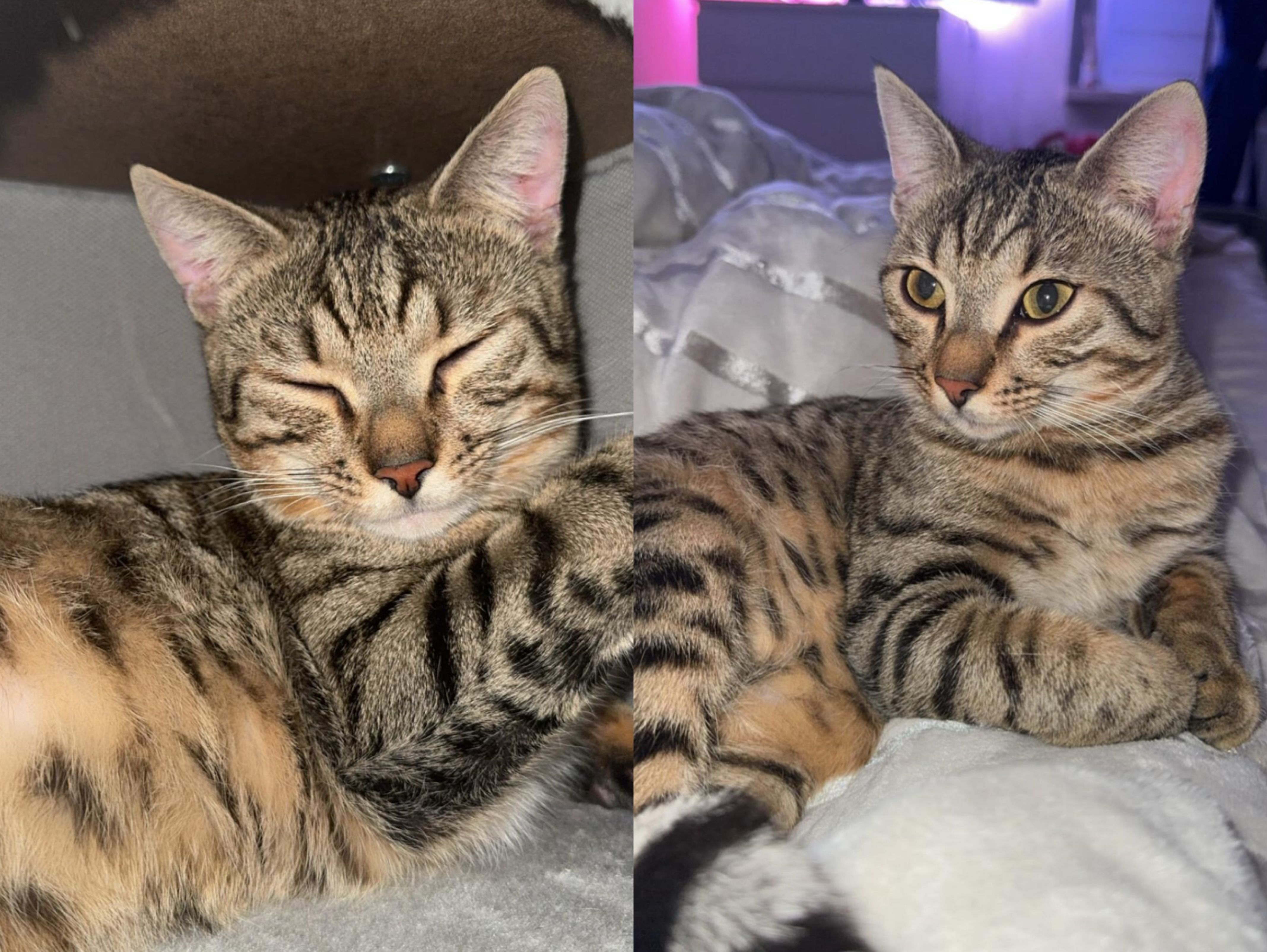 Paul - Am Hohen Kreuz, Roding