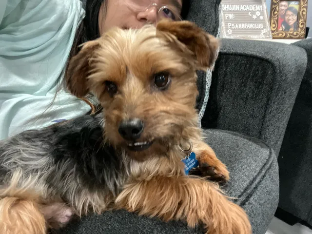 Thor - Keller St, Monterey Park