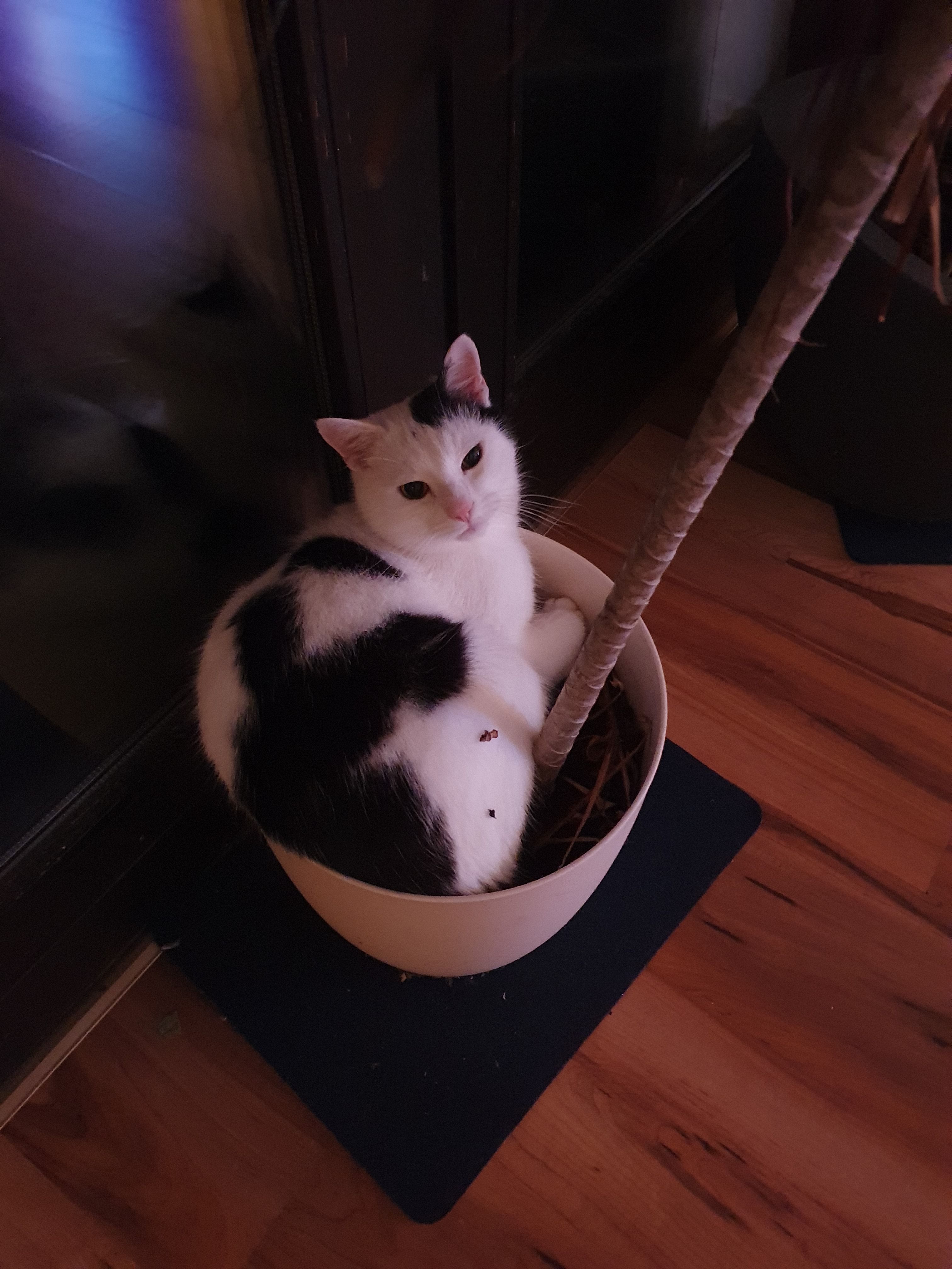 Muckel - 91161, Hilpoltstein