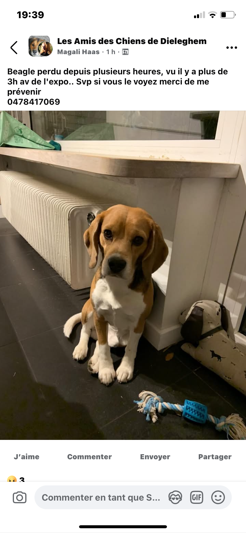 Eliott  - Avenue du Laerbeek, Jette