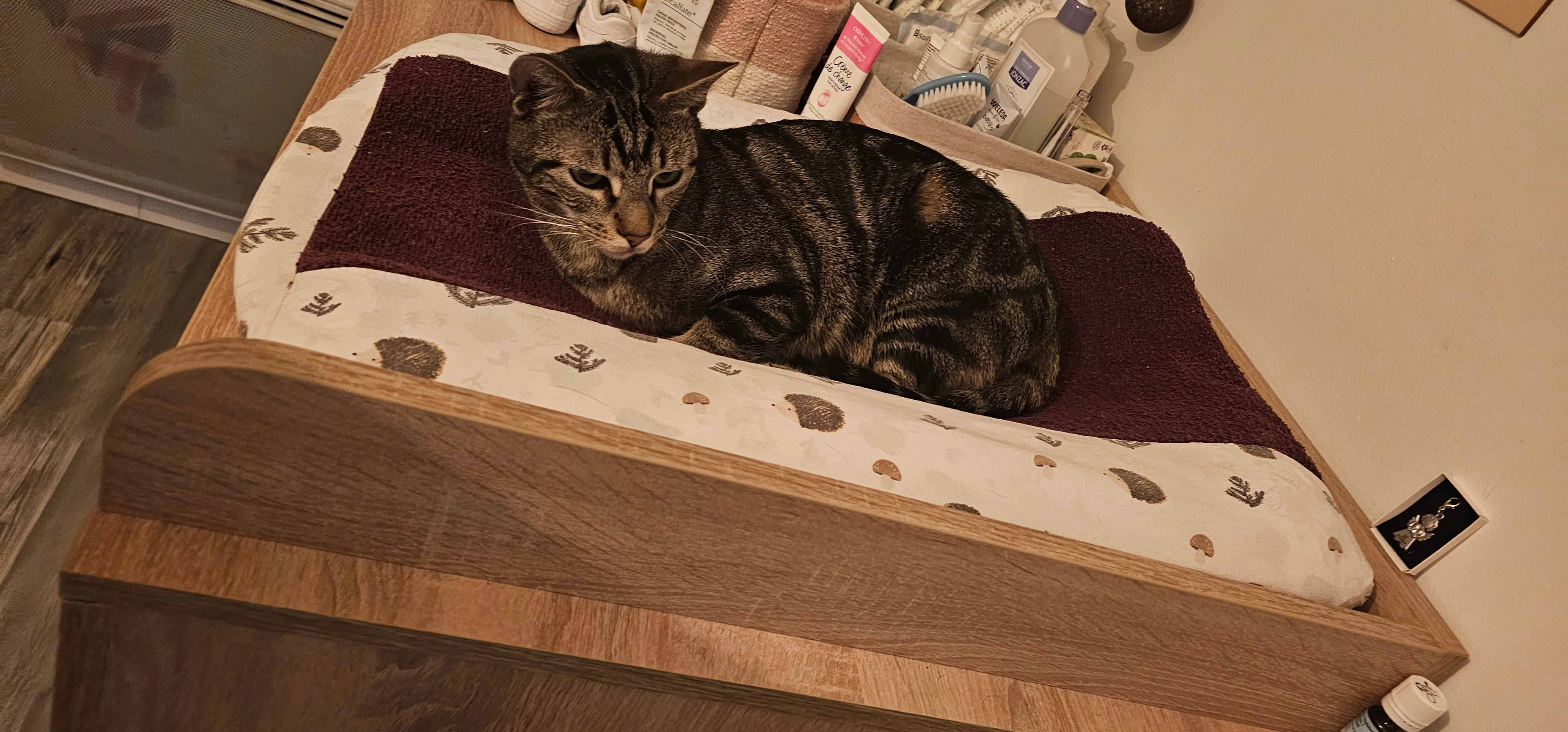 Ayrton - 5 Rue du Moulin, Izeste