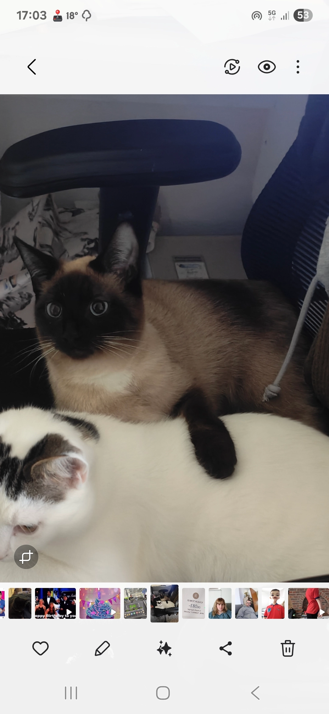 Willow - 18 Puffin Close, Southampton