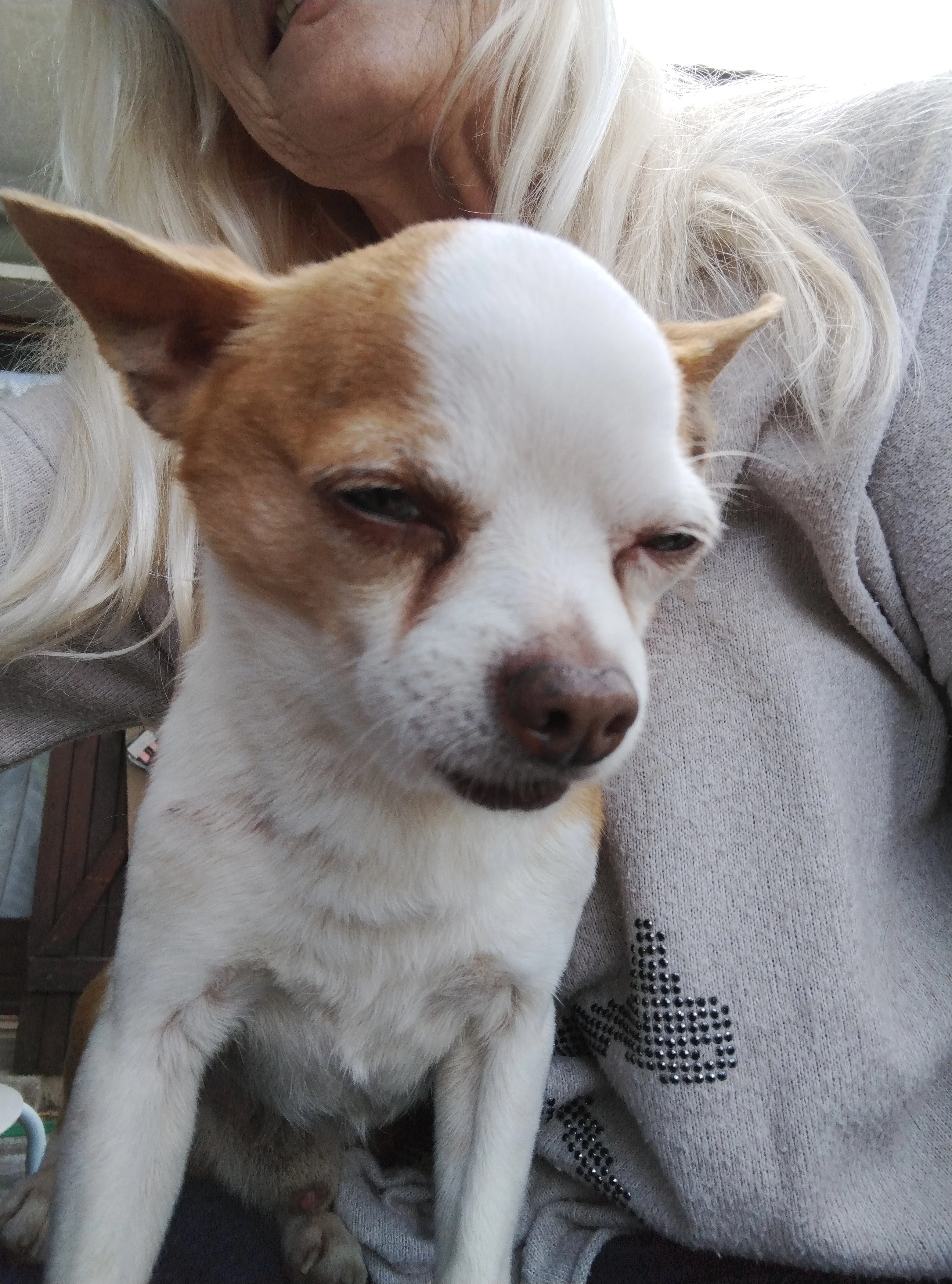 Junko - Le Collet, Pierre-Châtel