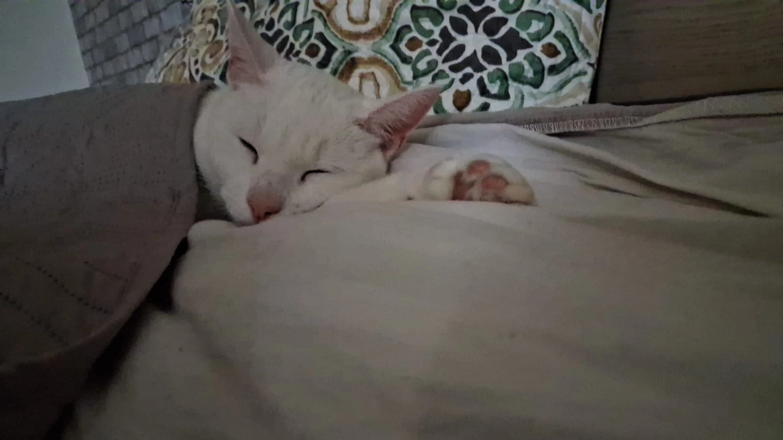 choukette - BethaniΓ«nstraat 13, Mechelen