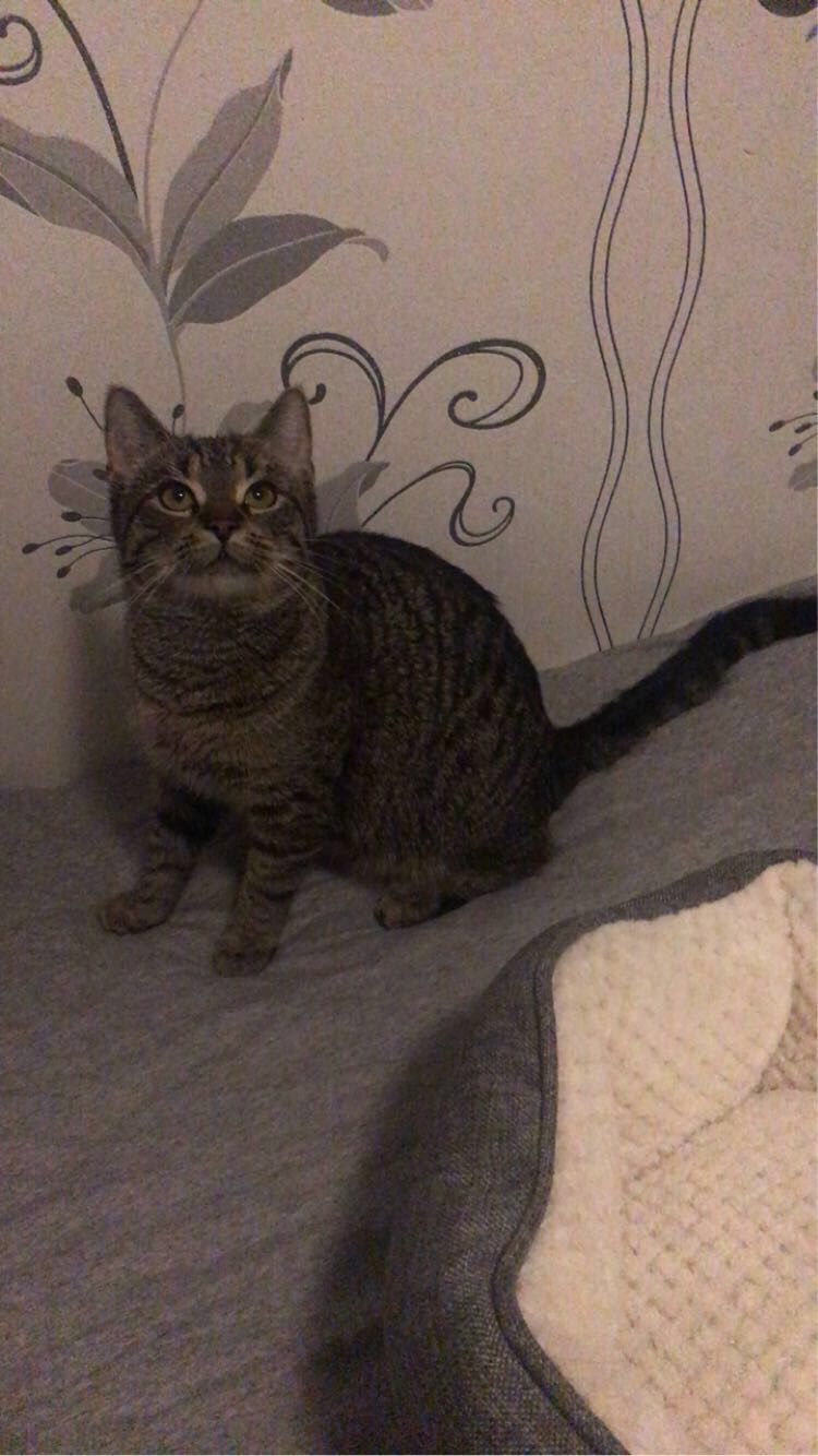 Mila - Hoffschlägerweg, Coesfeld