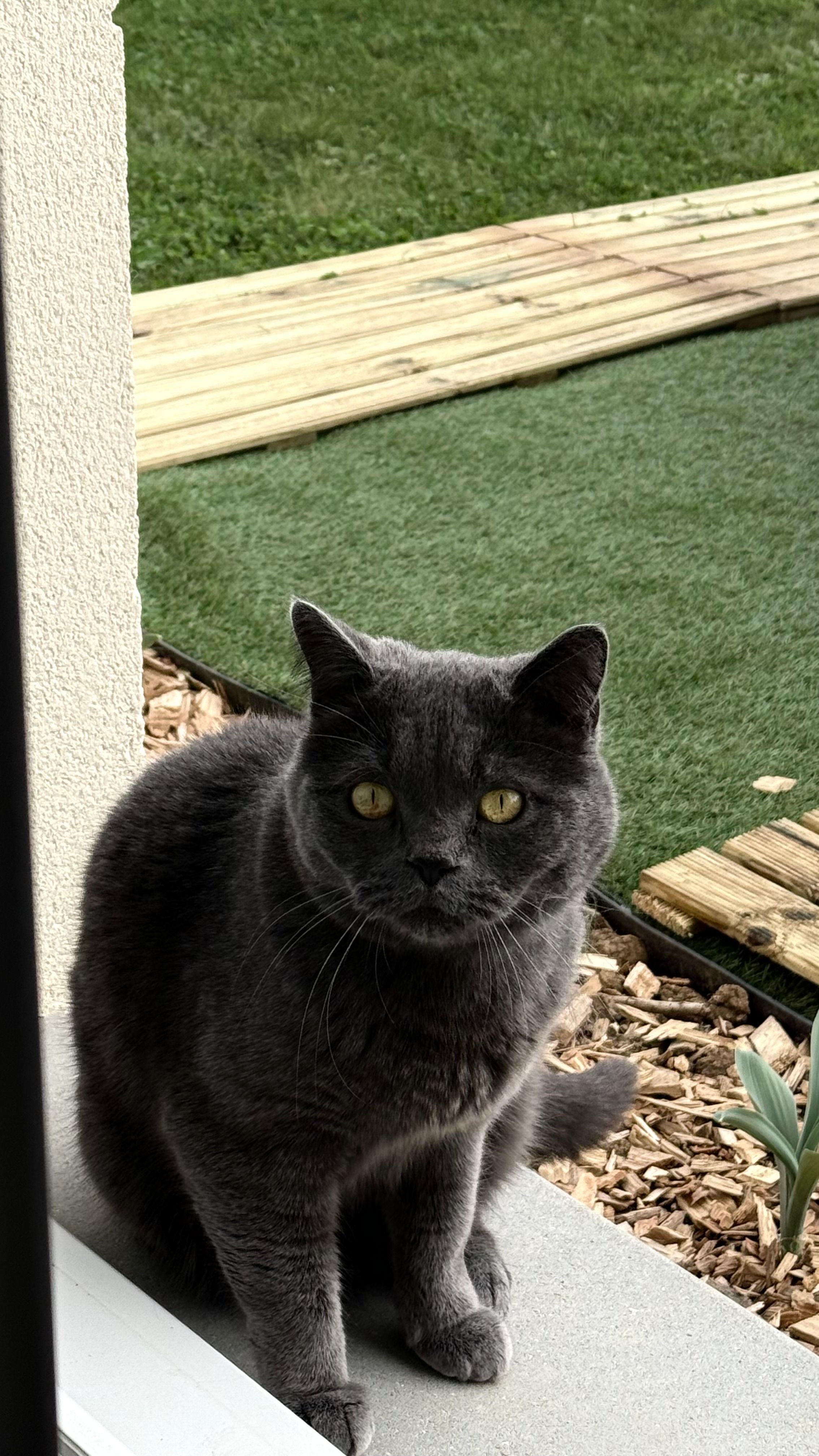 Mowgli - Rue Marie Curie, Allonnes