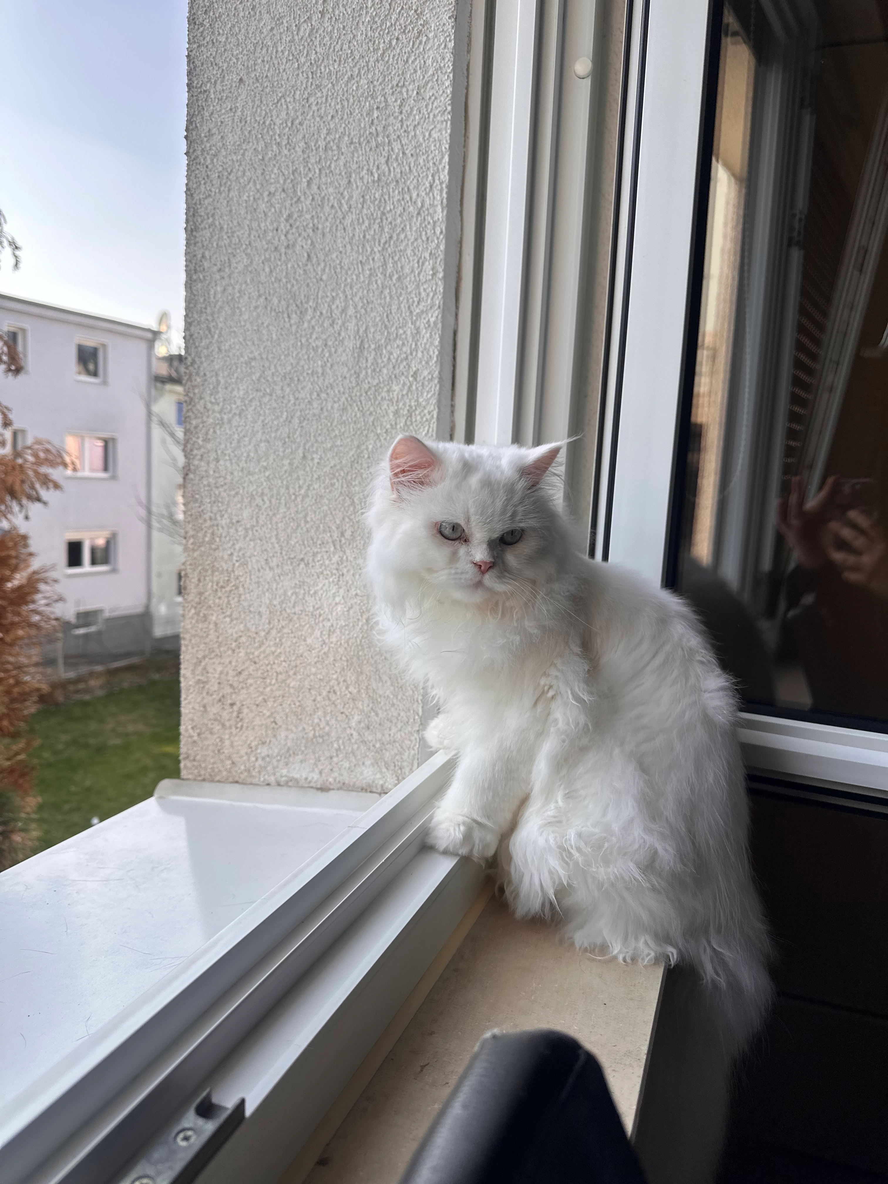 Coco - Talstraße, Remscheid