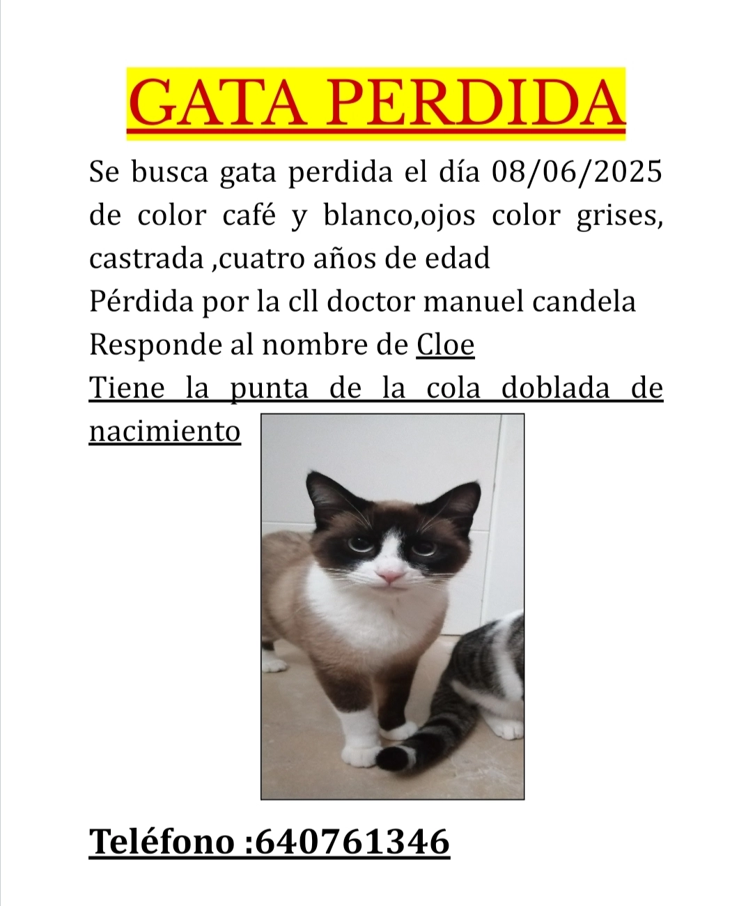 Cloe - Calle del Doctor Manuel Candela, València