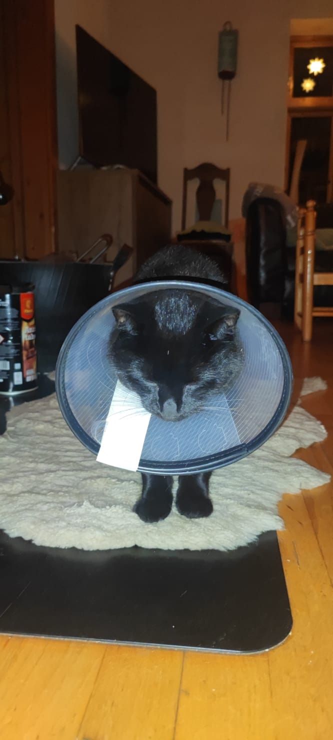 Mogli - Teichstraße, Oldenborstel