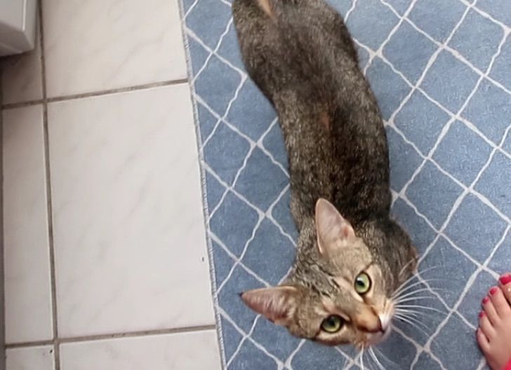 Cassy - Berthold-Lauffmann-Weg, Brakel