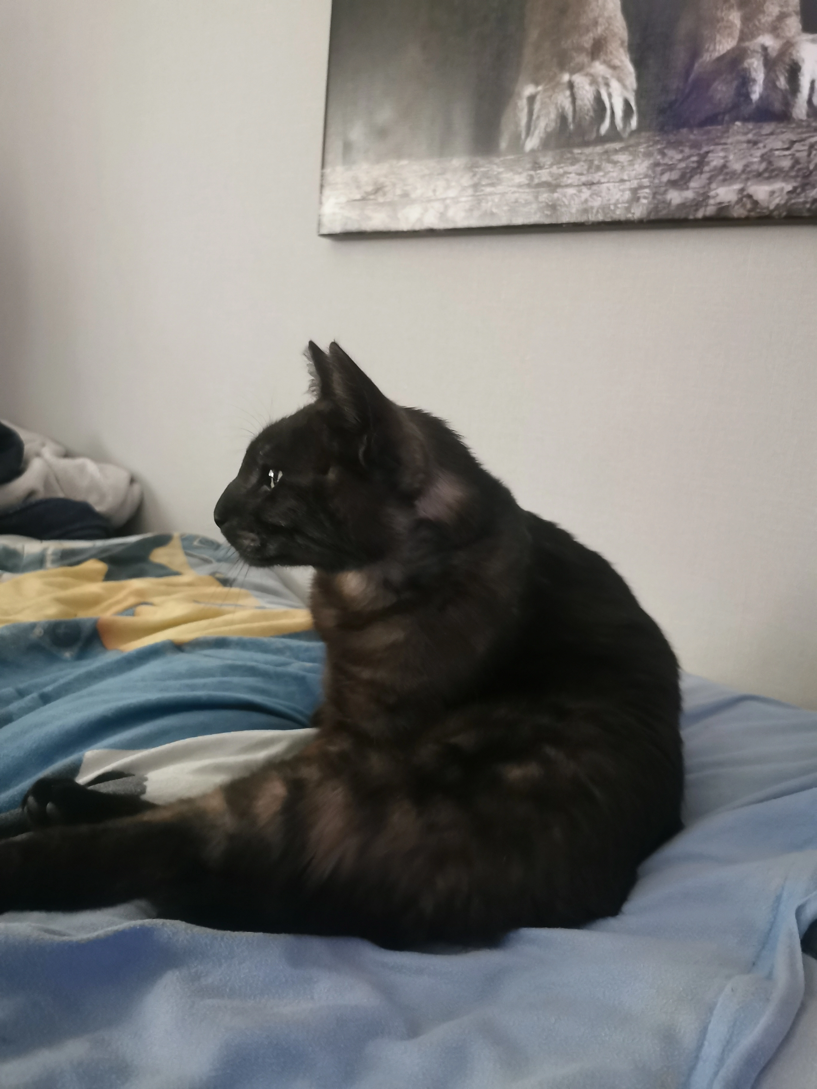 Momo - Wichernstraße, Bünde