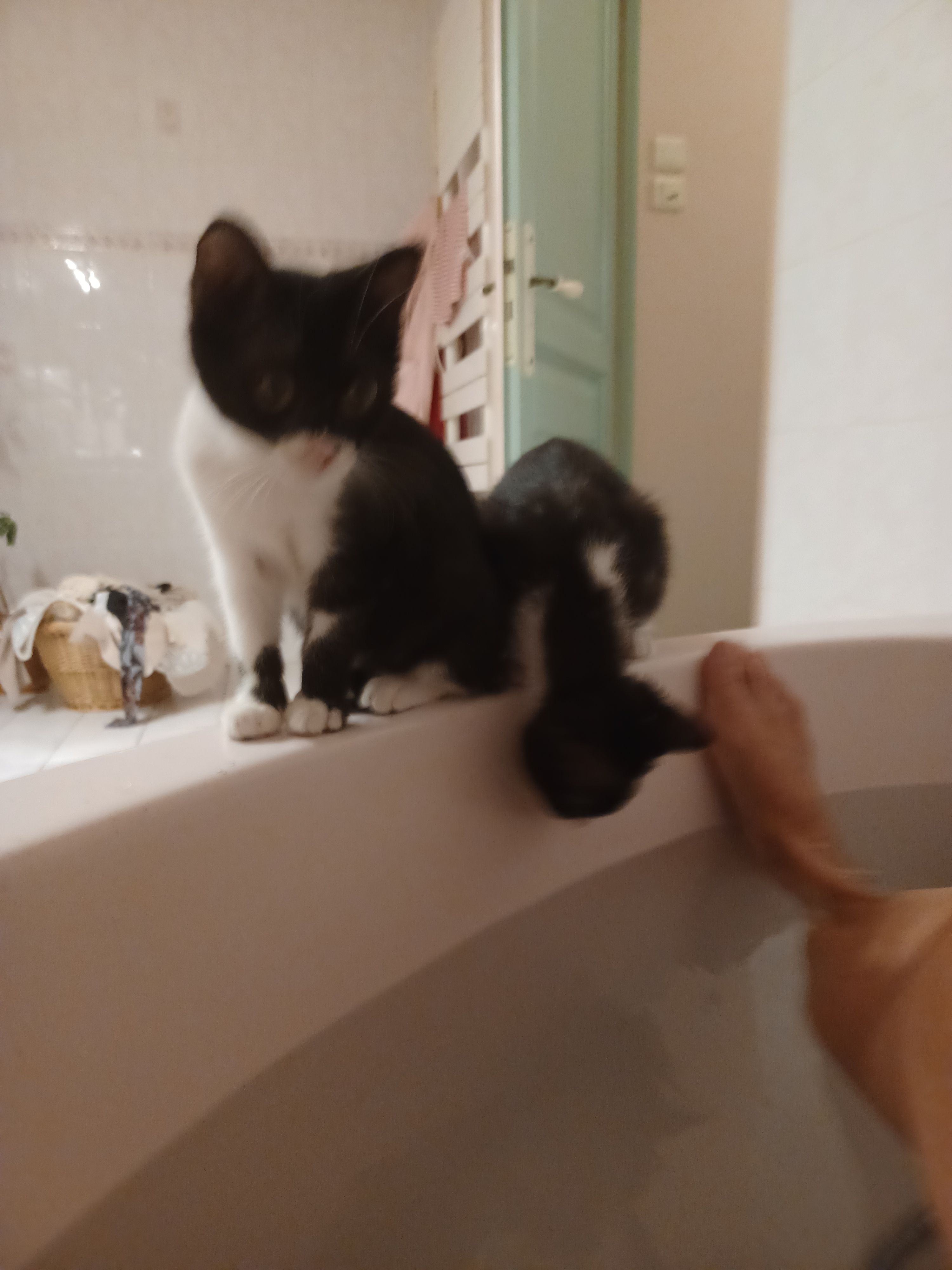 SIA - Lotissement Les Terrasses De L'hermita, Espaly-Saint-Marcel