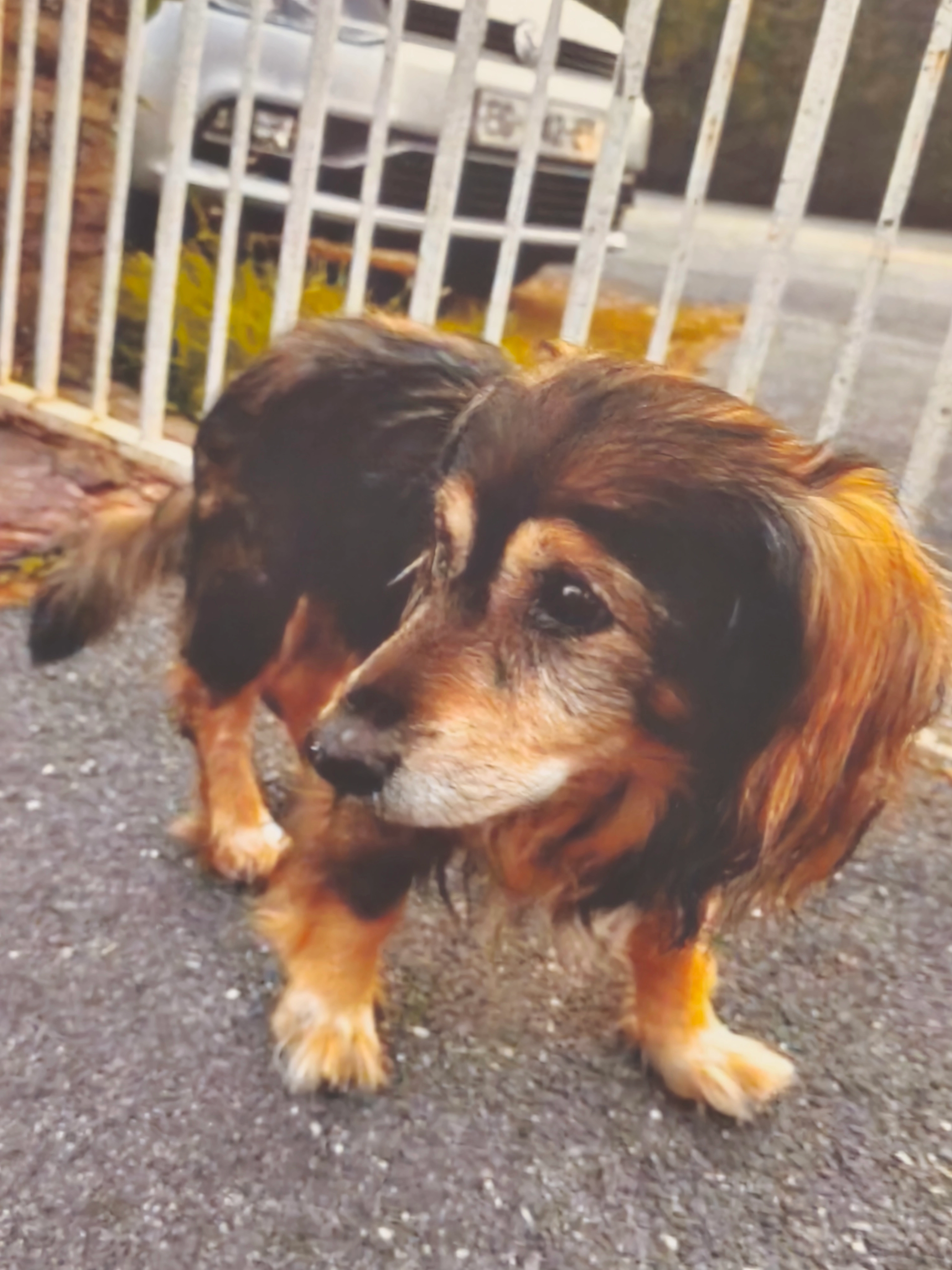 Narvalo  - Rue de l'Europe, Bréal-sous-Montfort