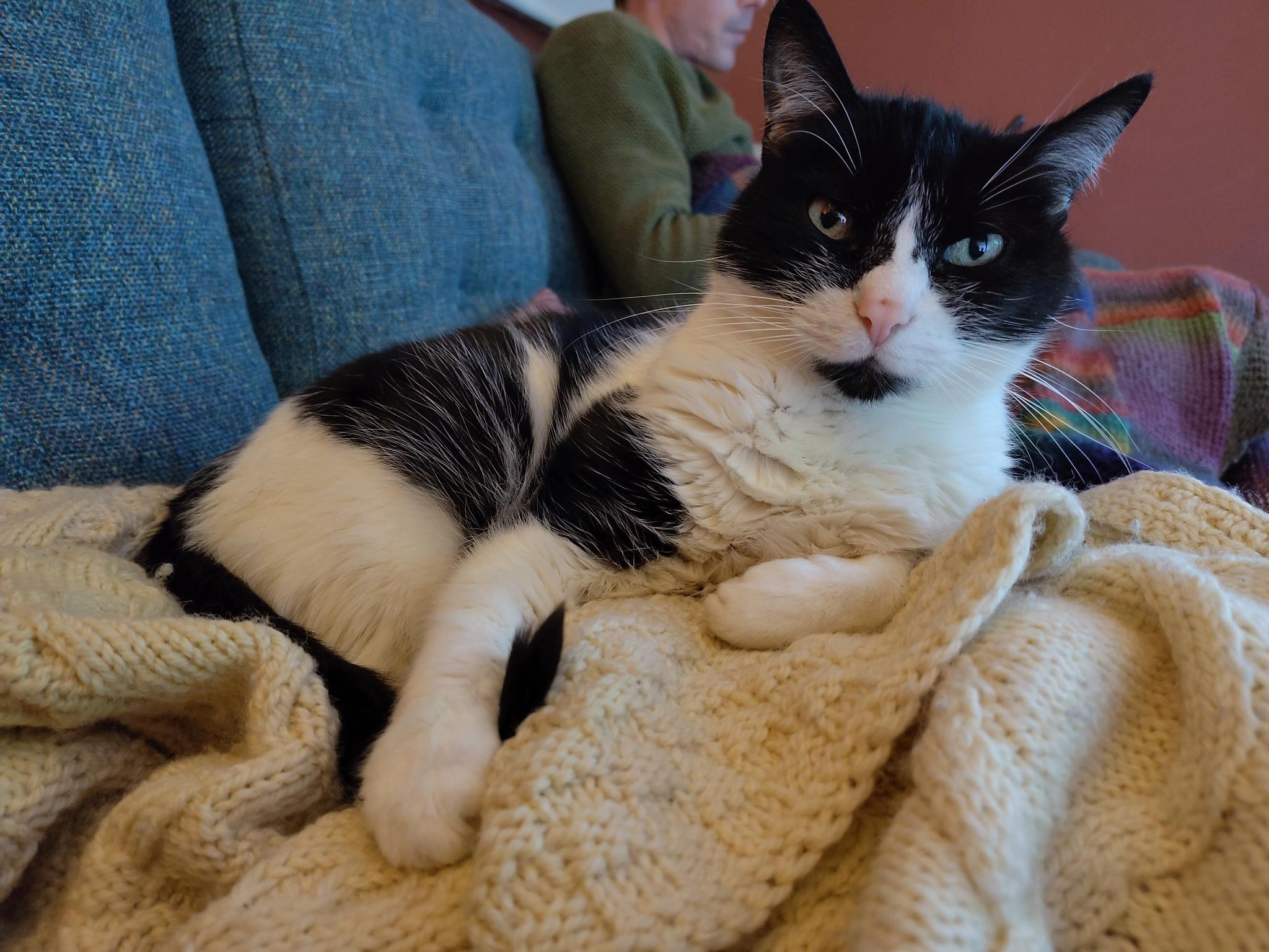 Marvin - Blind Lane, Hartest, Bury St Edmunds