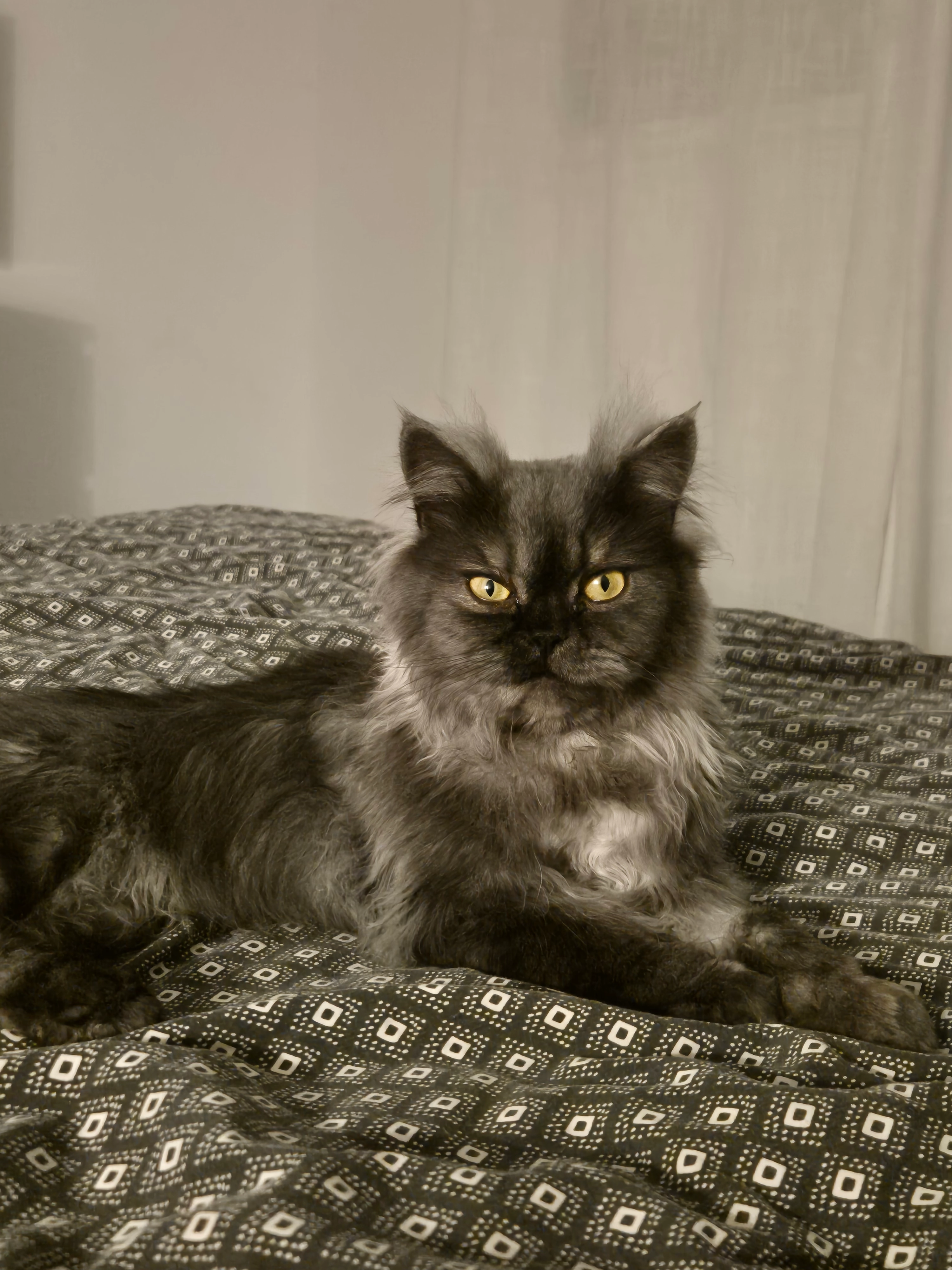 Ulysse - Rue Romain Gary, Bruz