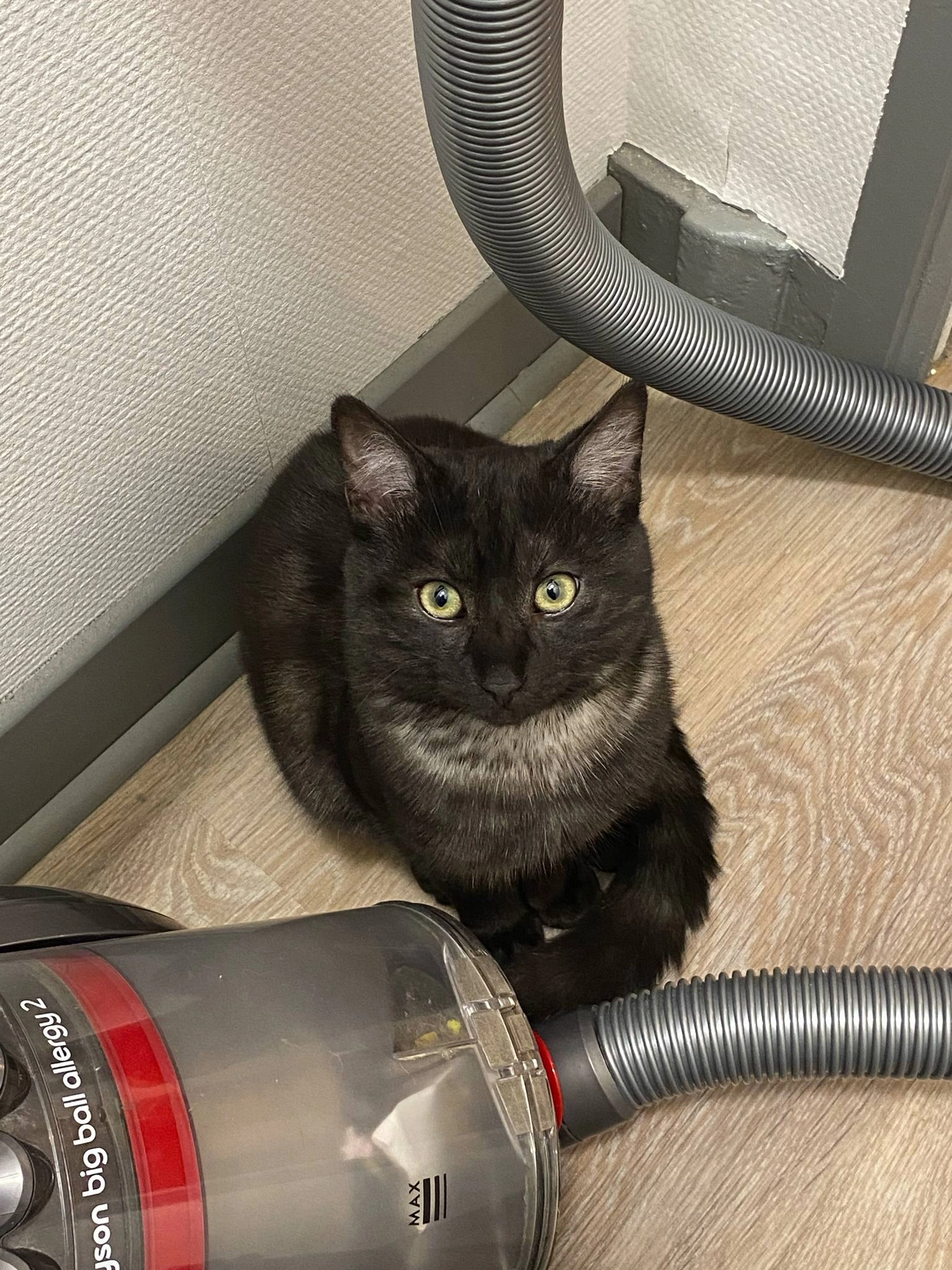 Drogon - Rue du Moulin, Chabanais