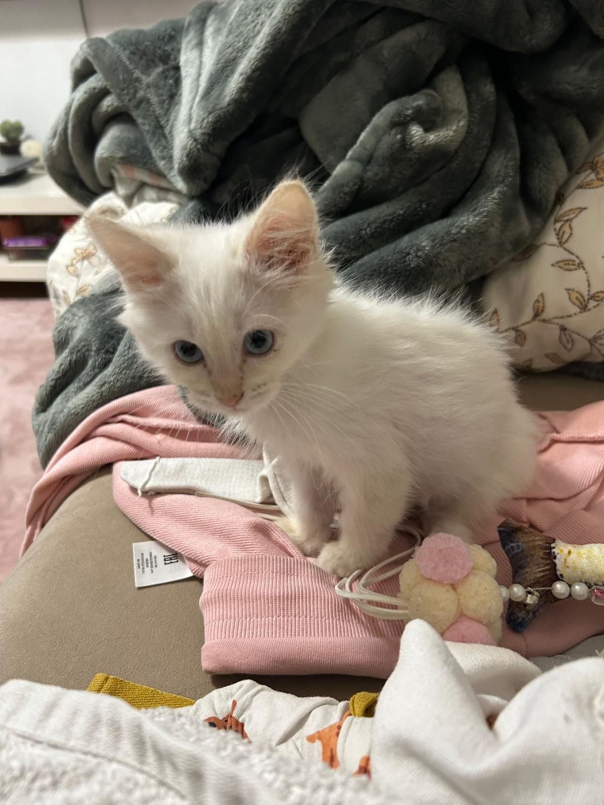 Bahti - Mivtza Sinai Street, Bat Yam