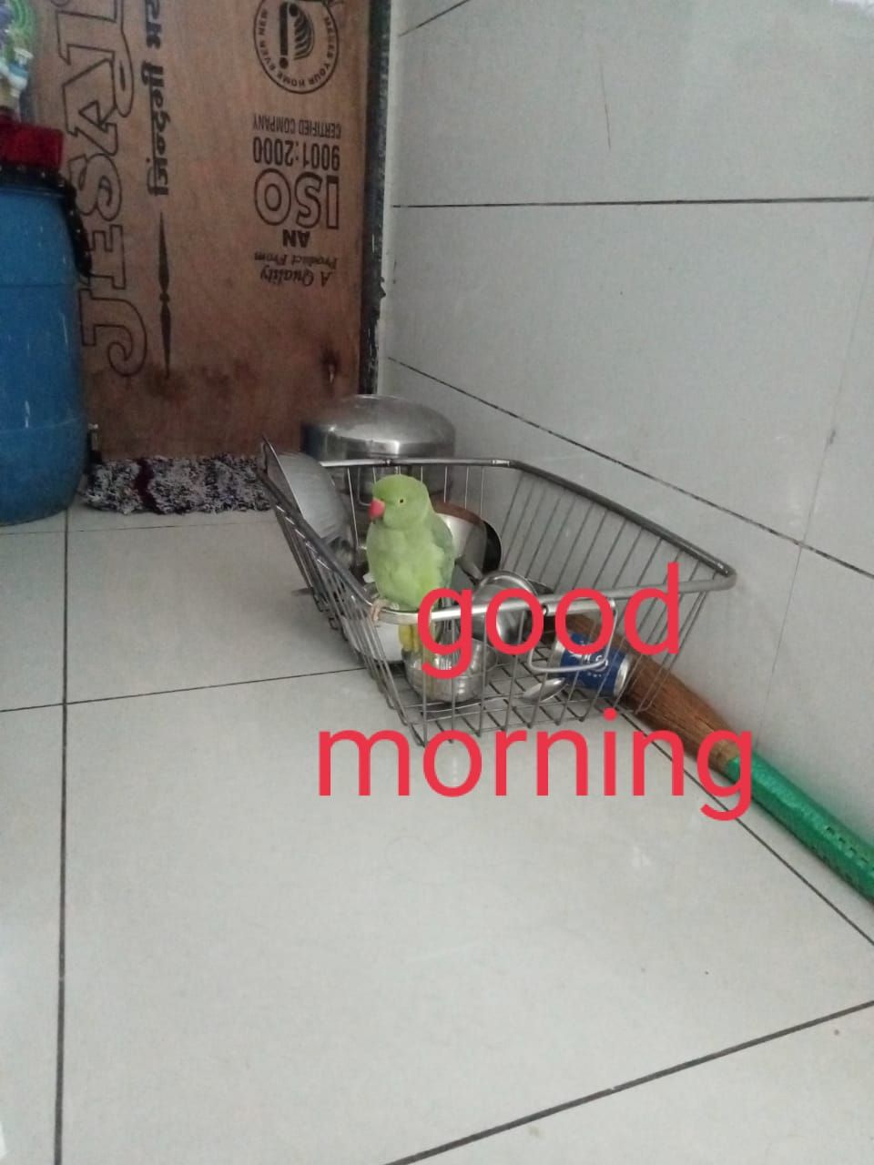 Mitthu  - Rail Nagar 2 Road No 11A, Santoshi Nagar Slum