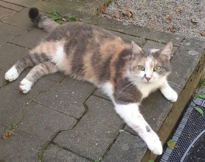 Lusy - 92507, Nabburg