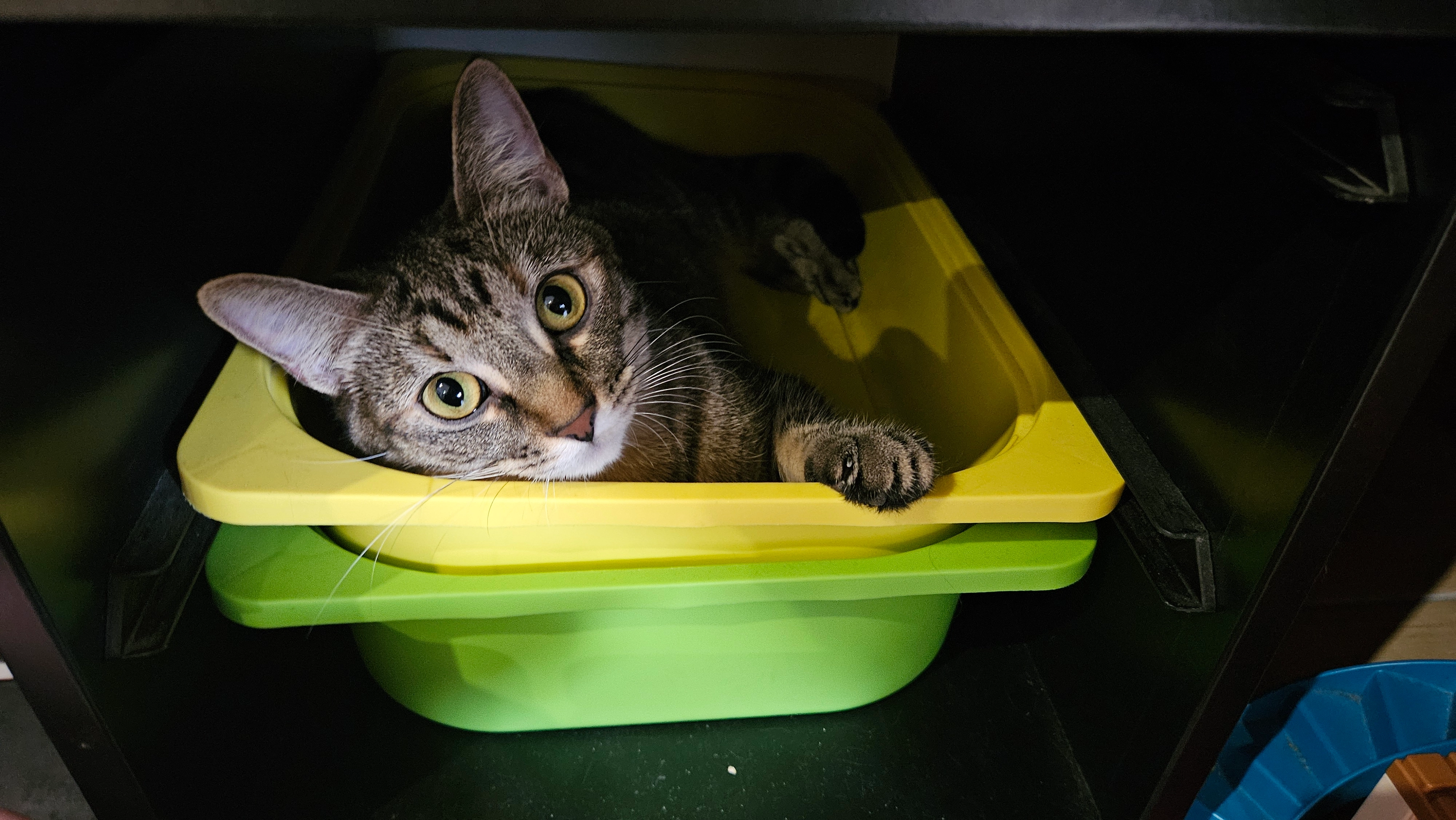 Yellow  - Rue du Moulin Richebourg, Abbeville