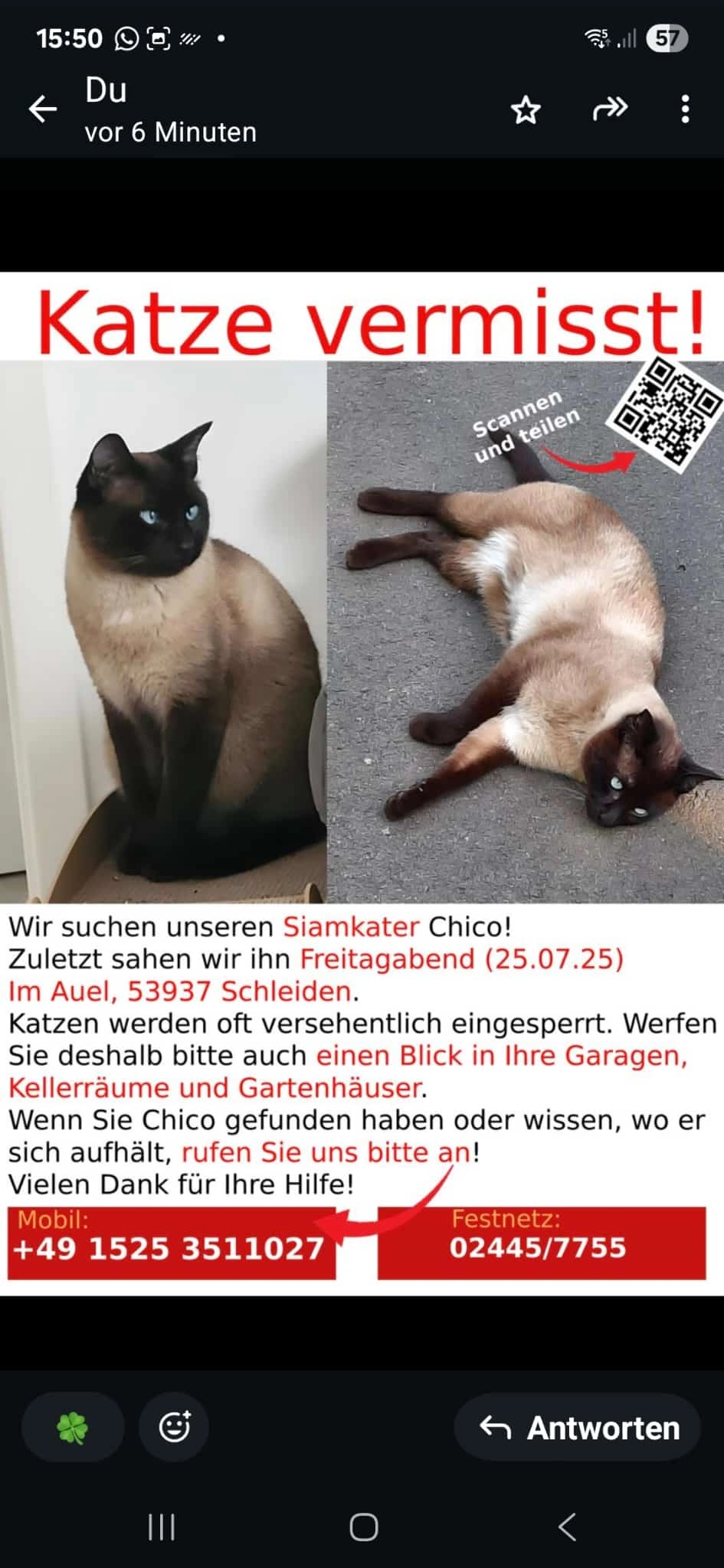 Chico  - Im Auel, Schleiden