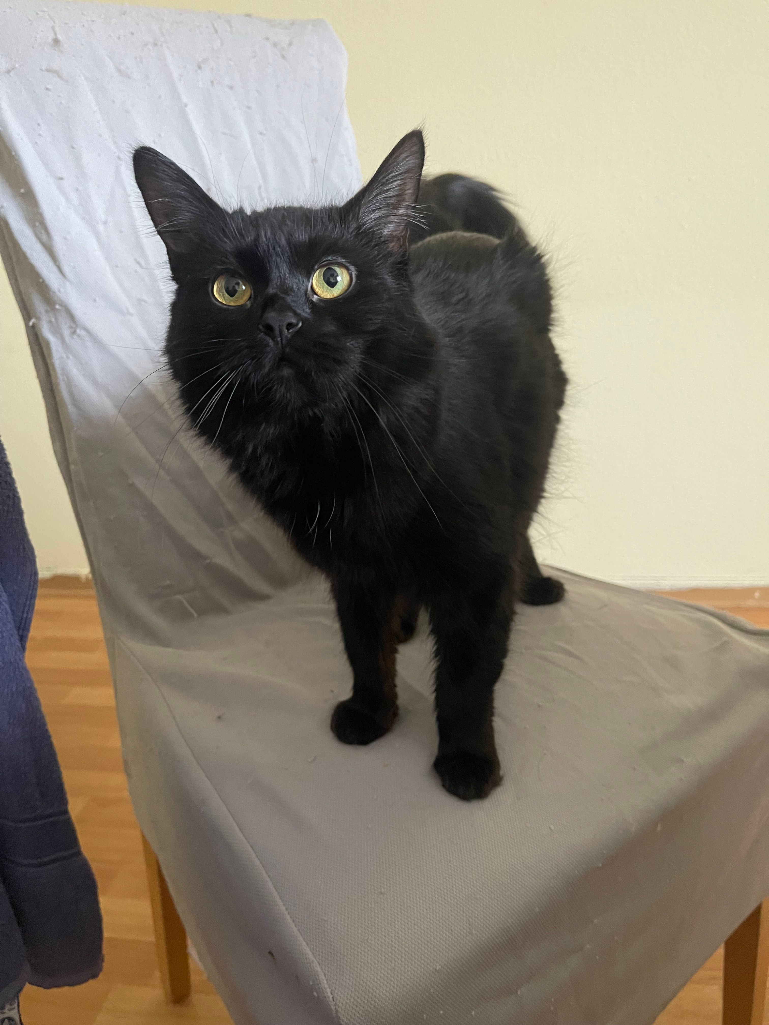 Sandwitch - Aumunder Feldstraße, Bremen