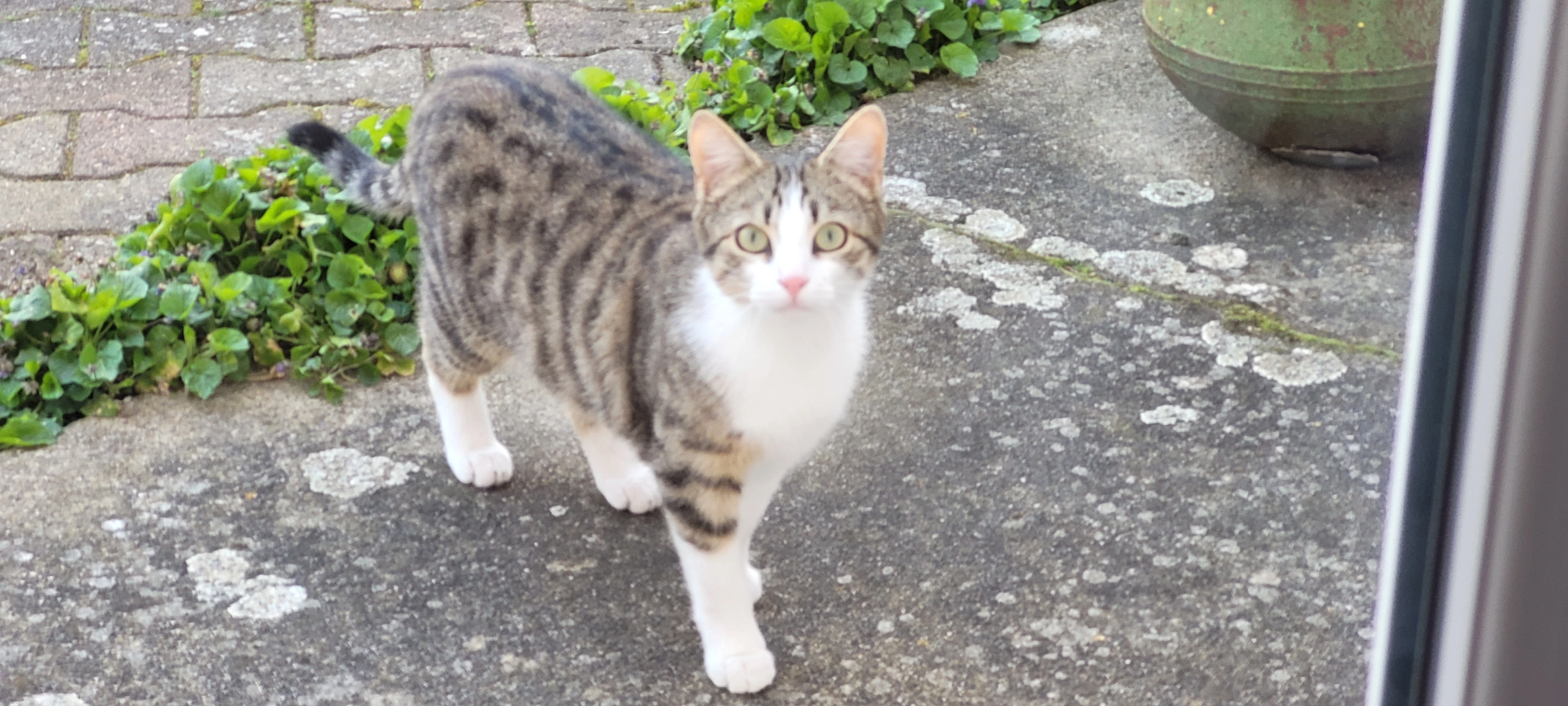 Upsy  - 26 Route de Chareil, Montord