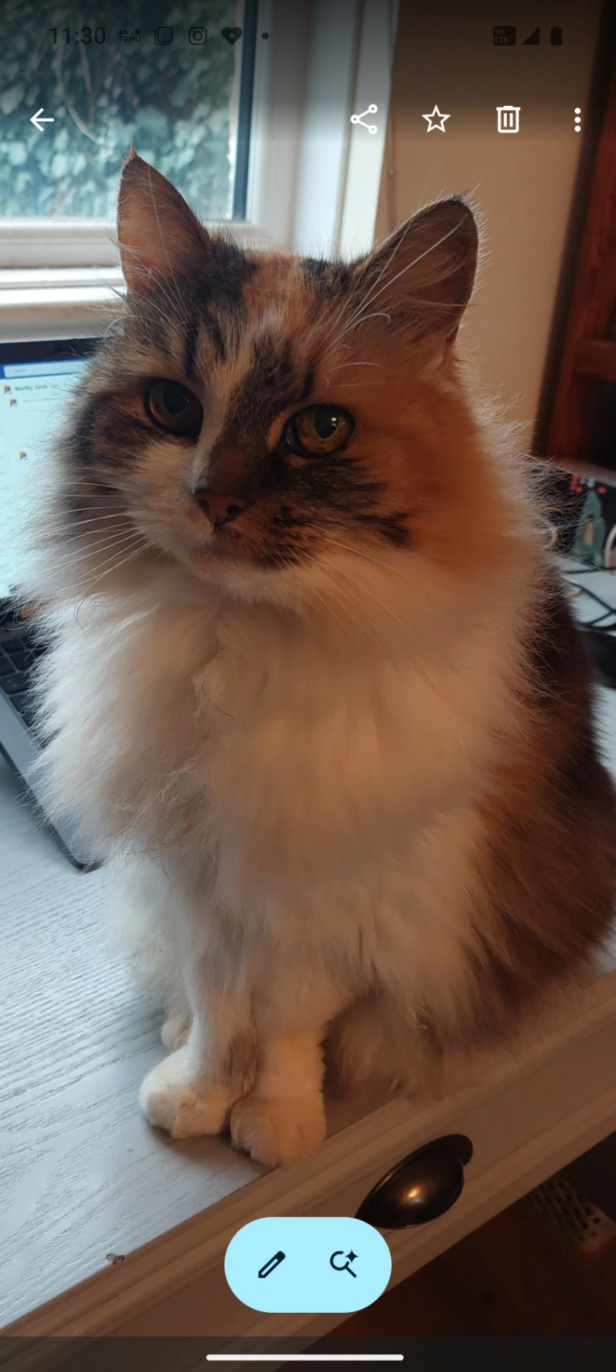 Molly - Wild Road, Norwich